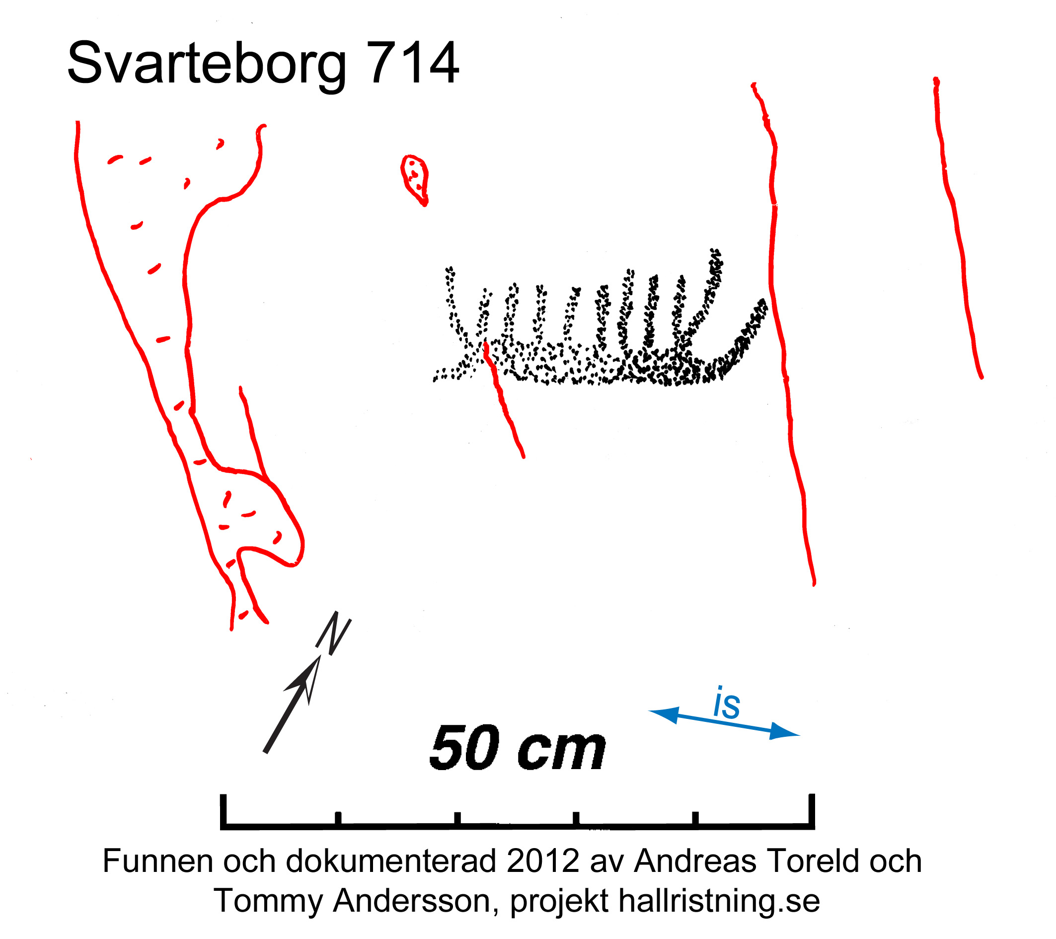 Medbo Svarteborg