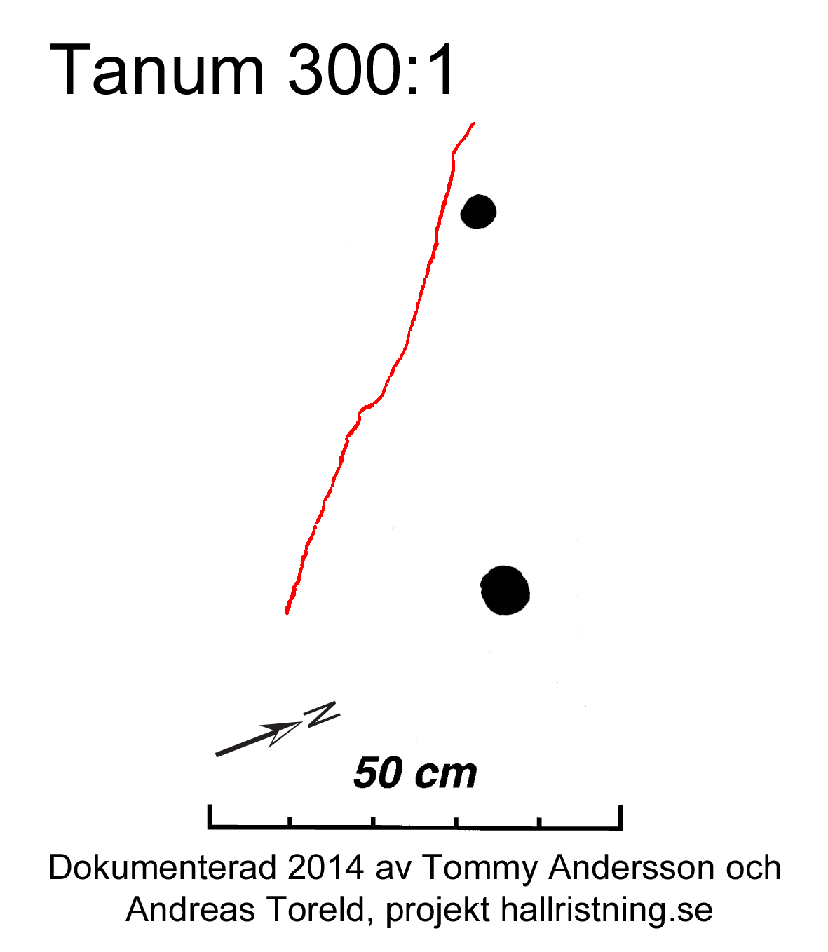 Häskje Tanum