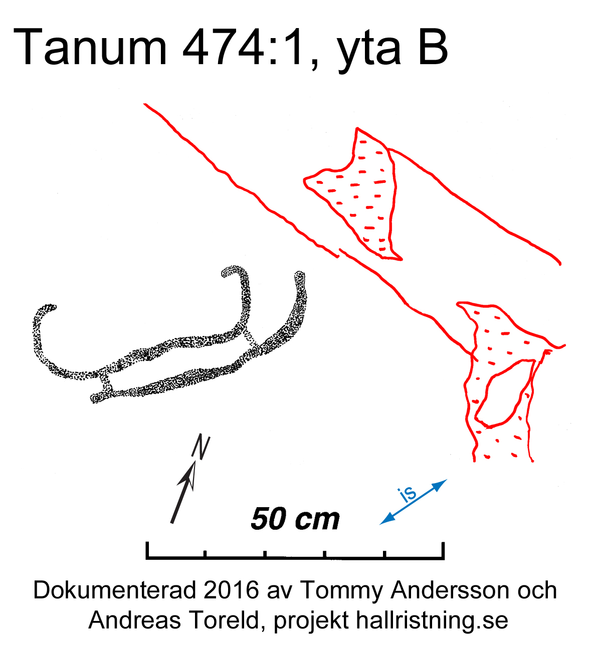 Bodalen Tanum