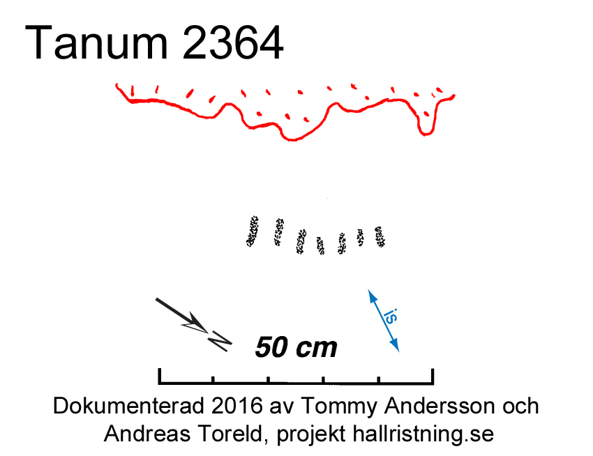 Vitlycke Tanum