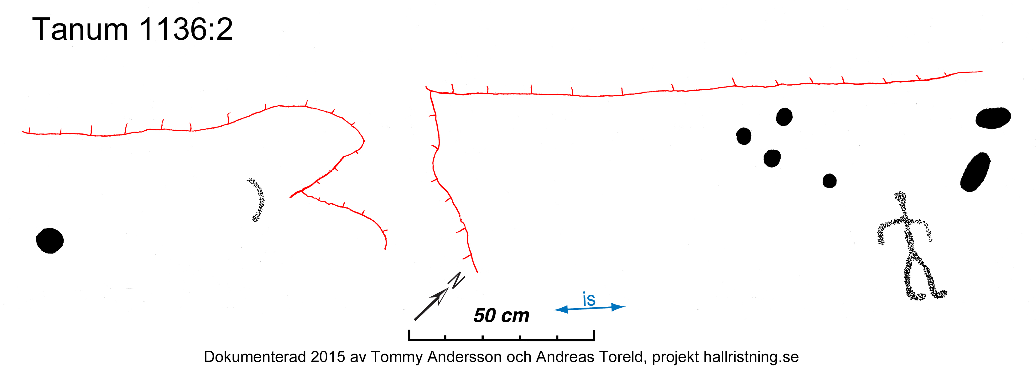 Ulvesked Tanum