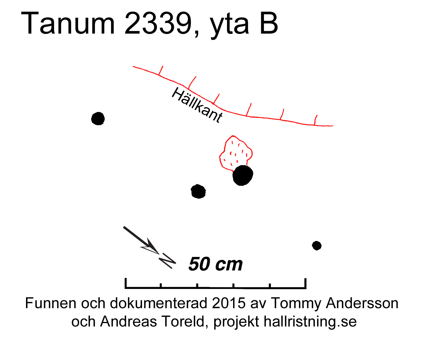 Ulvesked Tanum