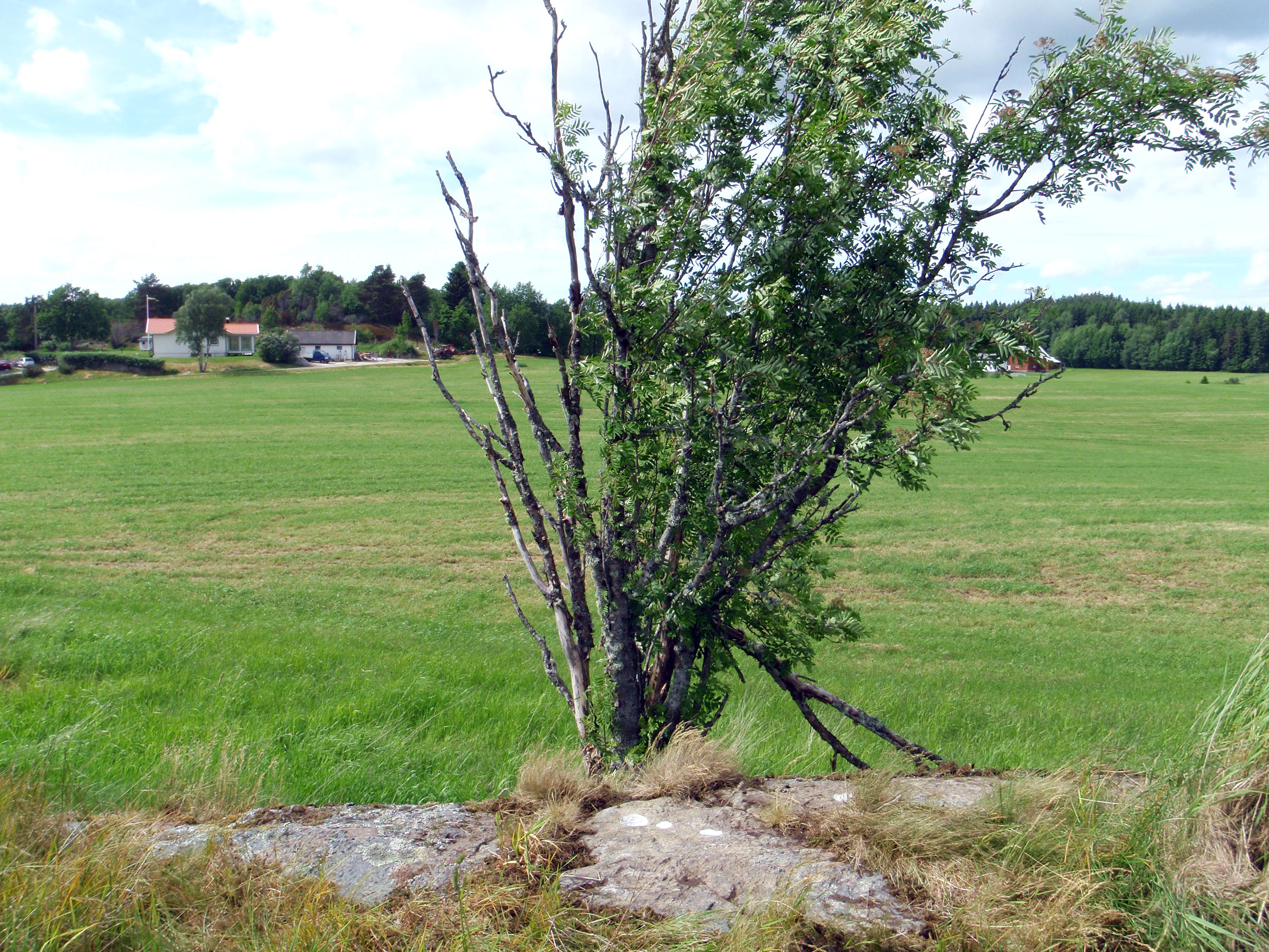 Kyrkehögslyckan Krokstad