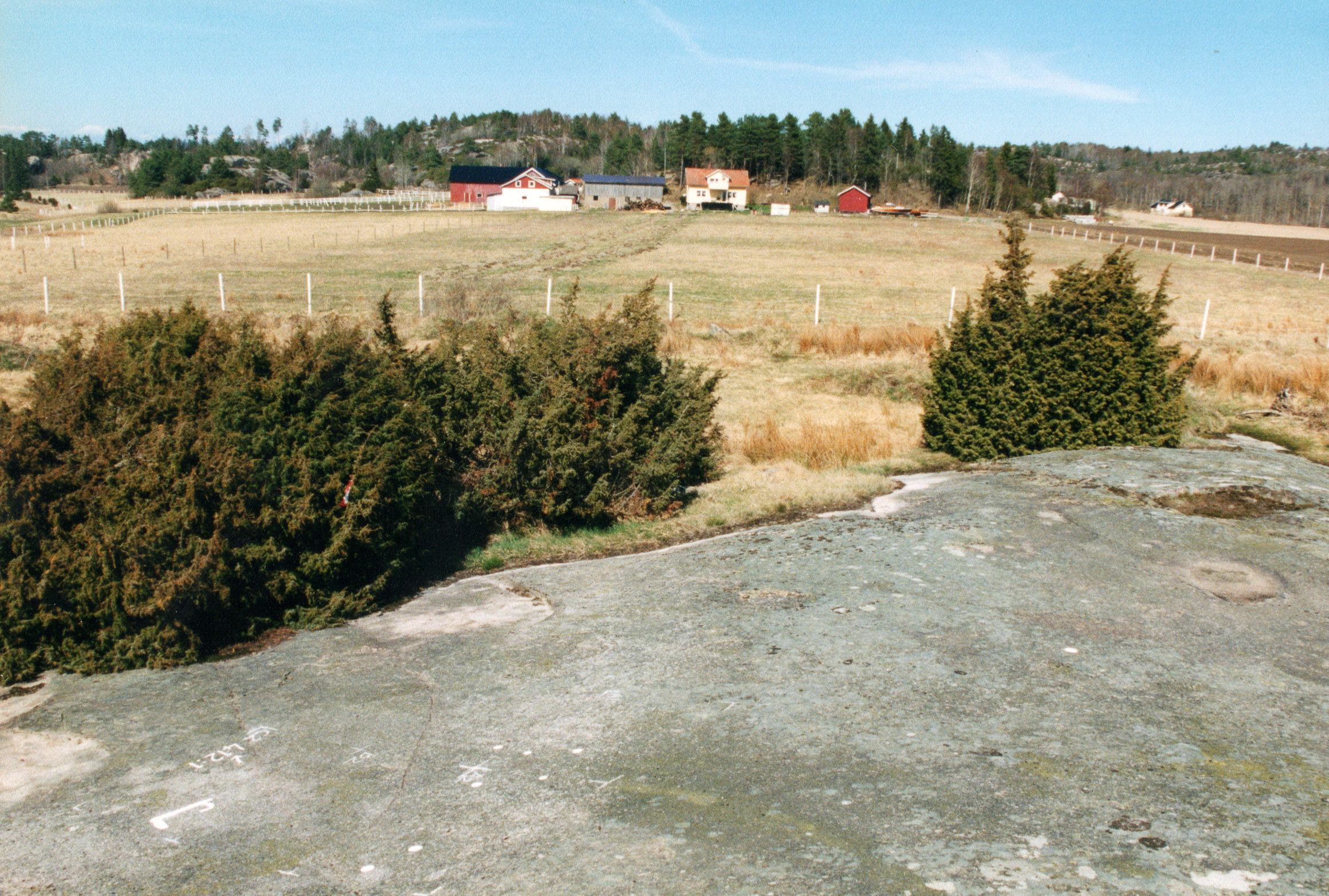 Kalleby Nedergård Tanum