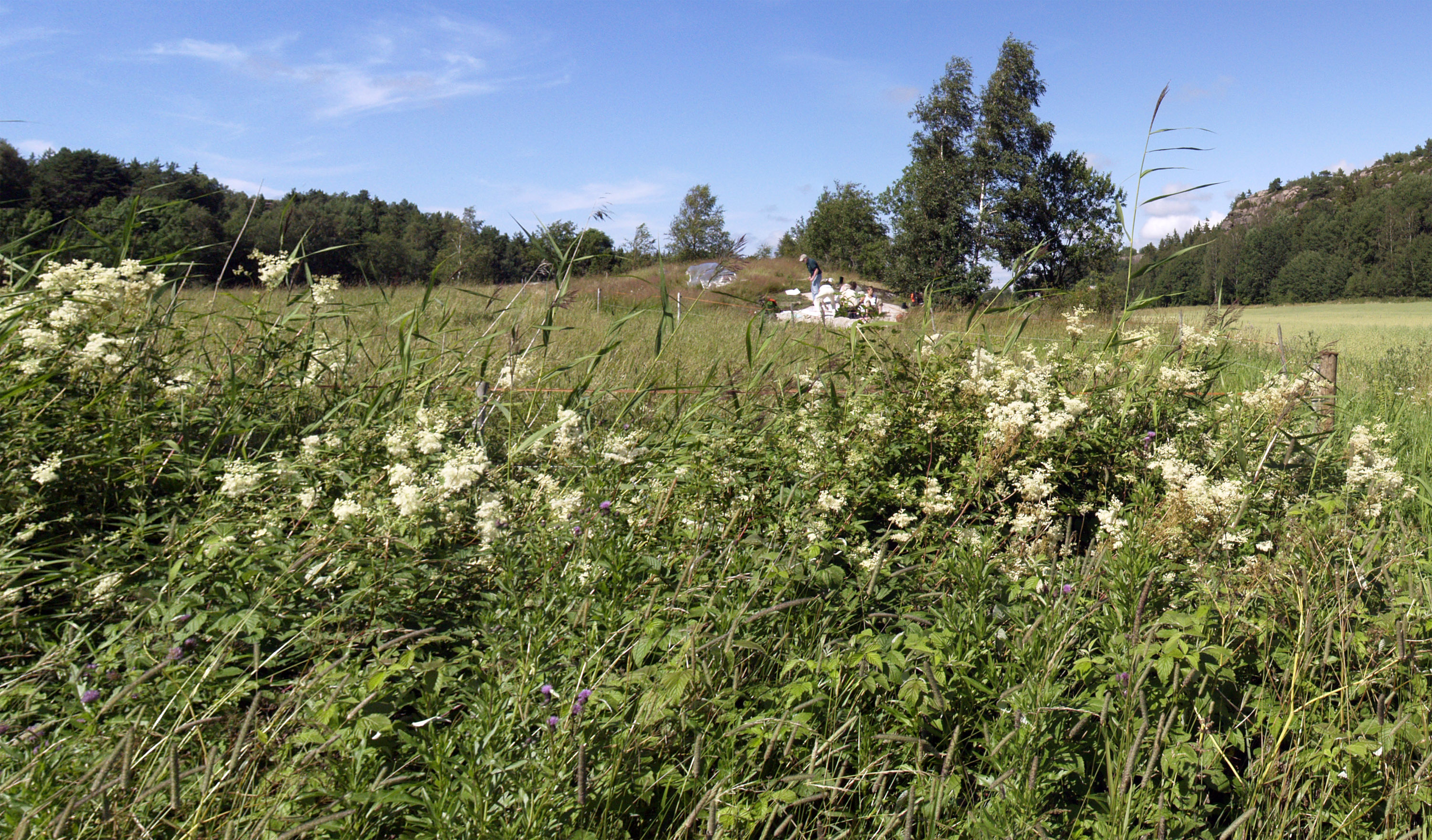 Kalleby Västergård Tanum