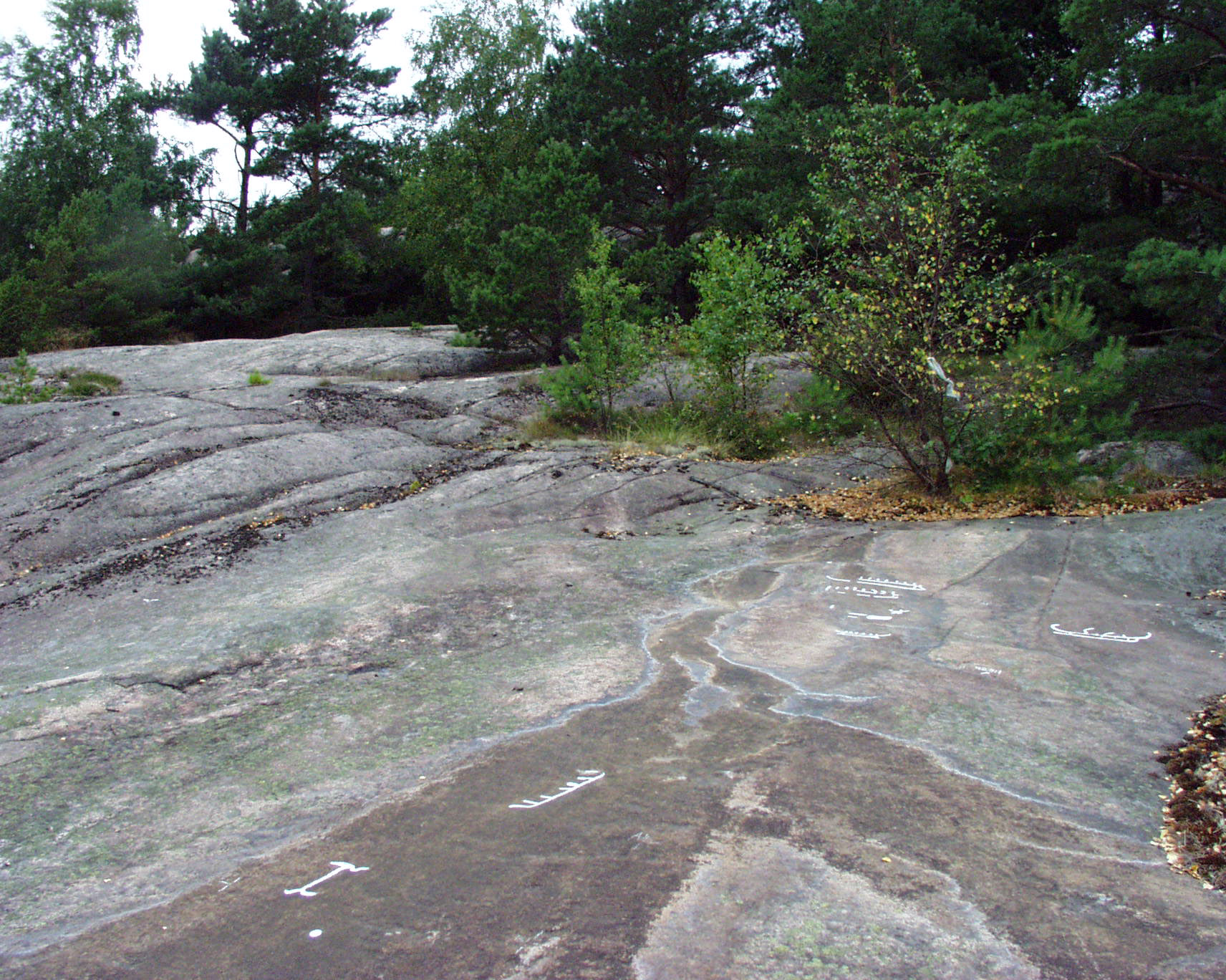 Kalleby Uppegård 2 Tanum