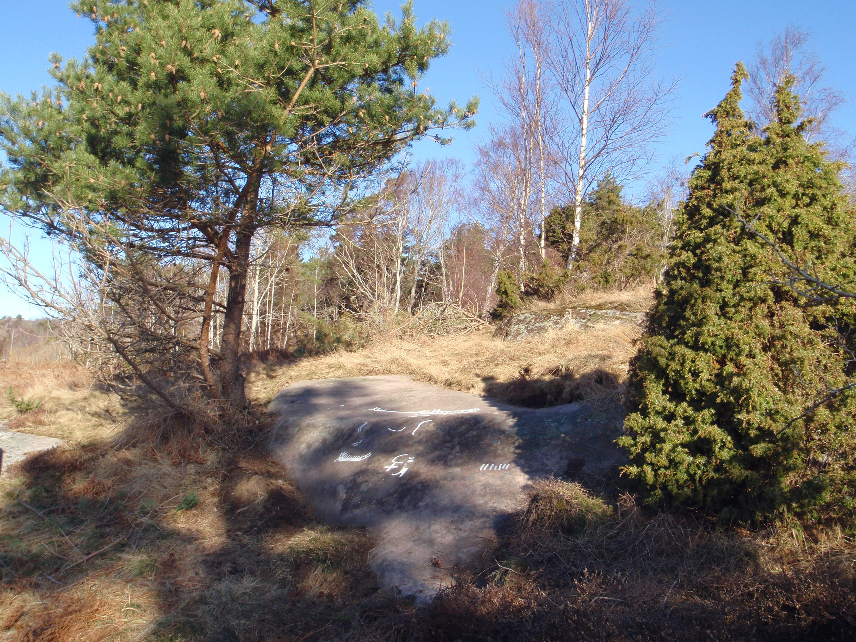 Bräcke Brastad