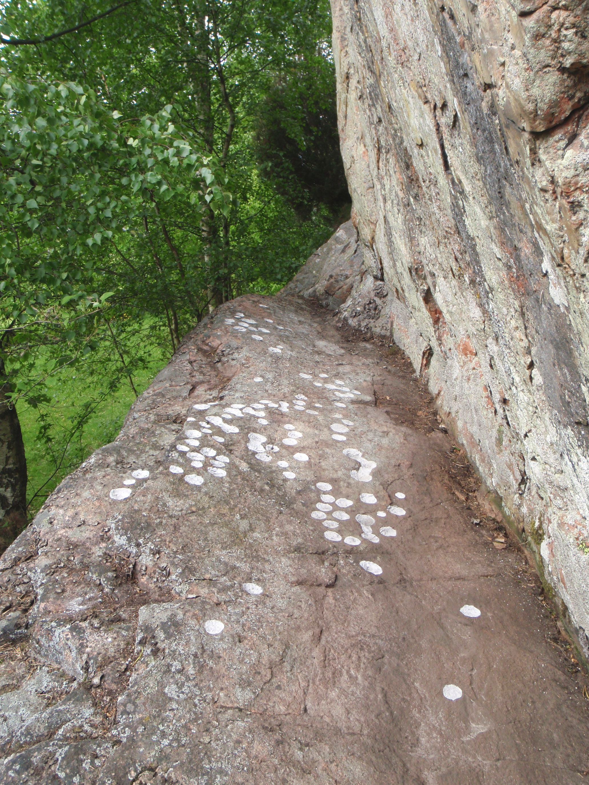 Ödsby Foss