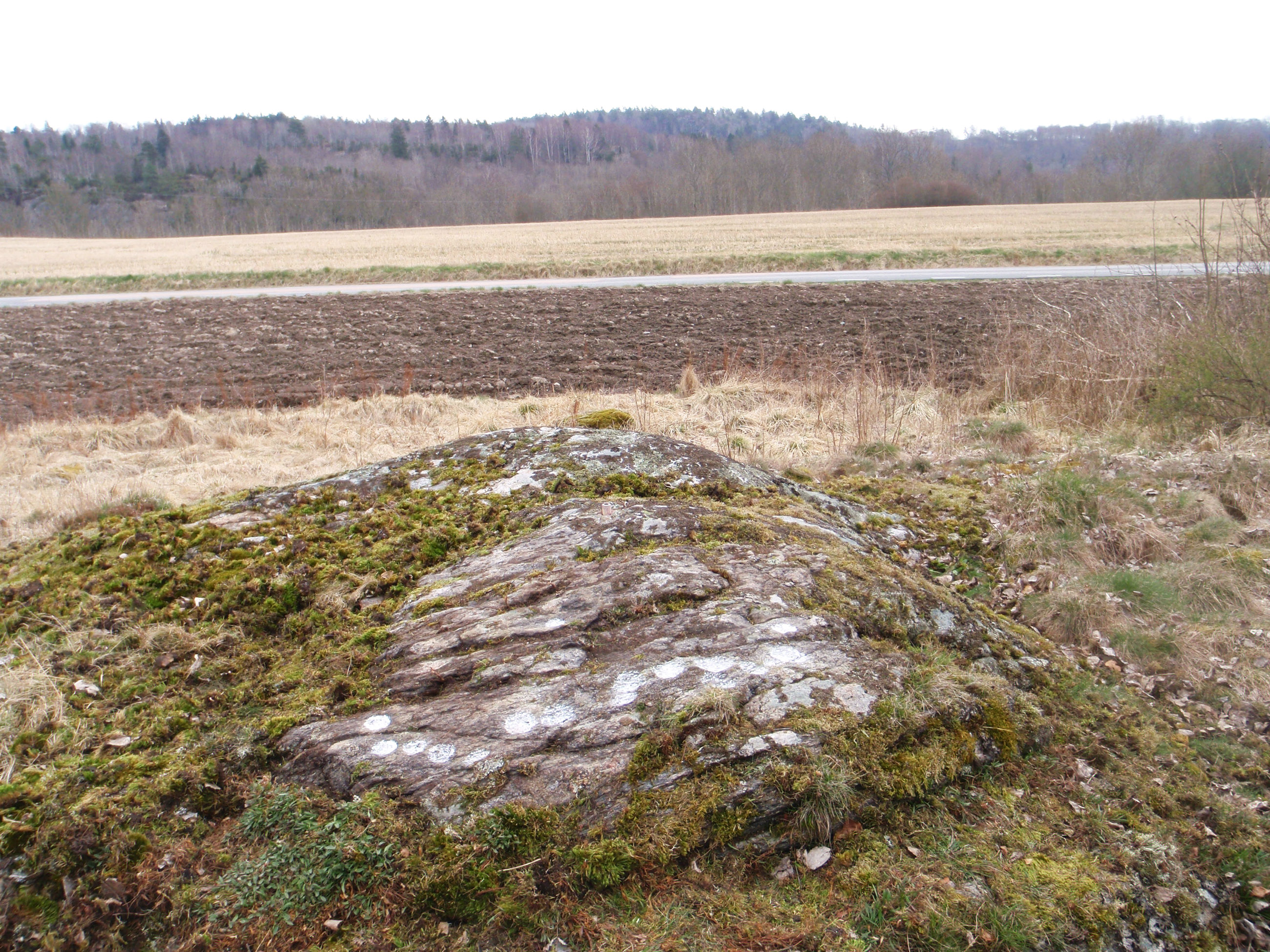 Bråland Foss