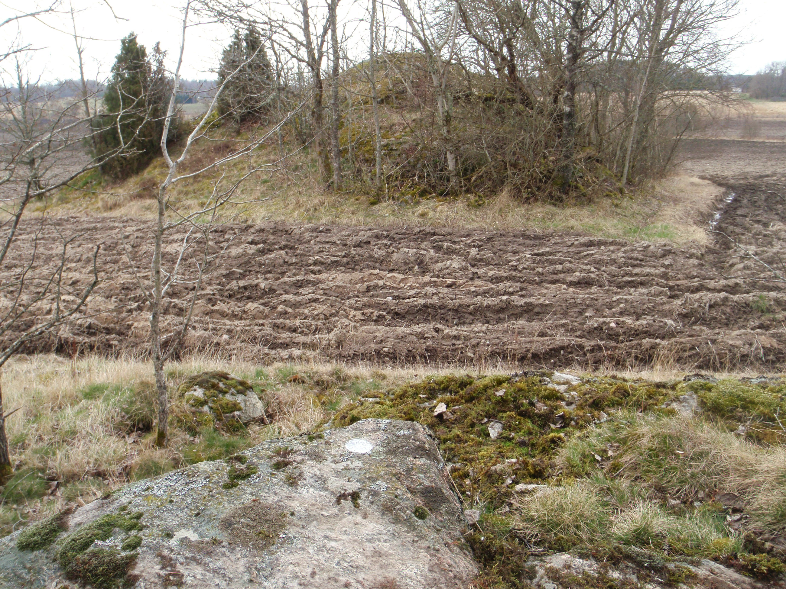 Bråland Foss