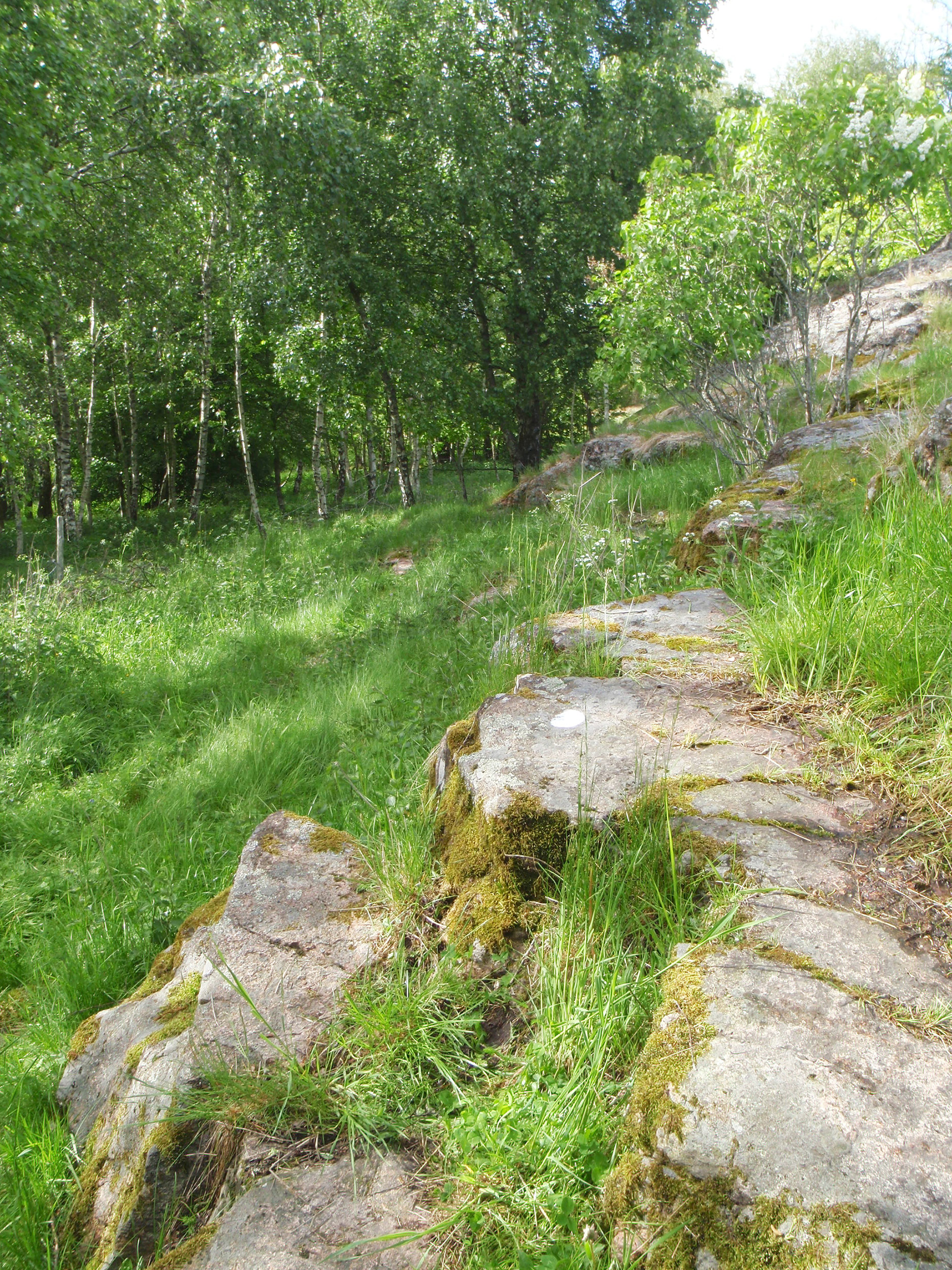 Lökeberg Foss