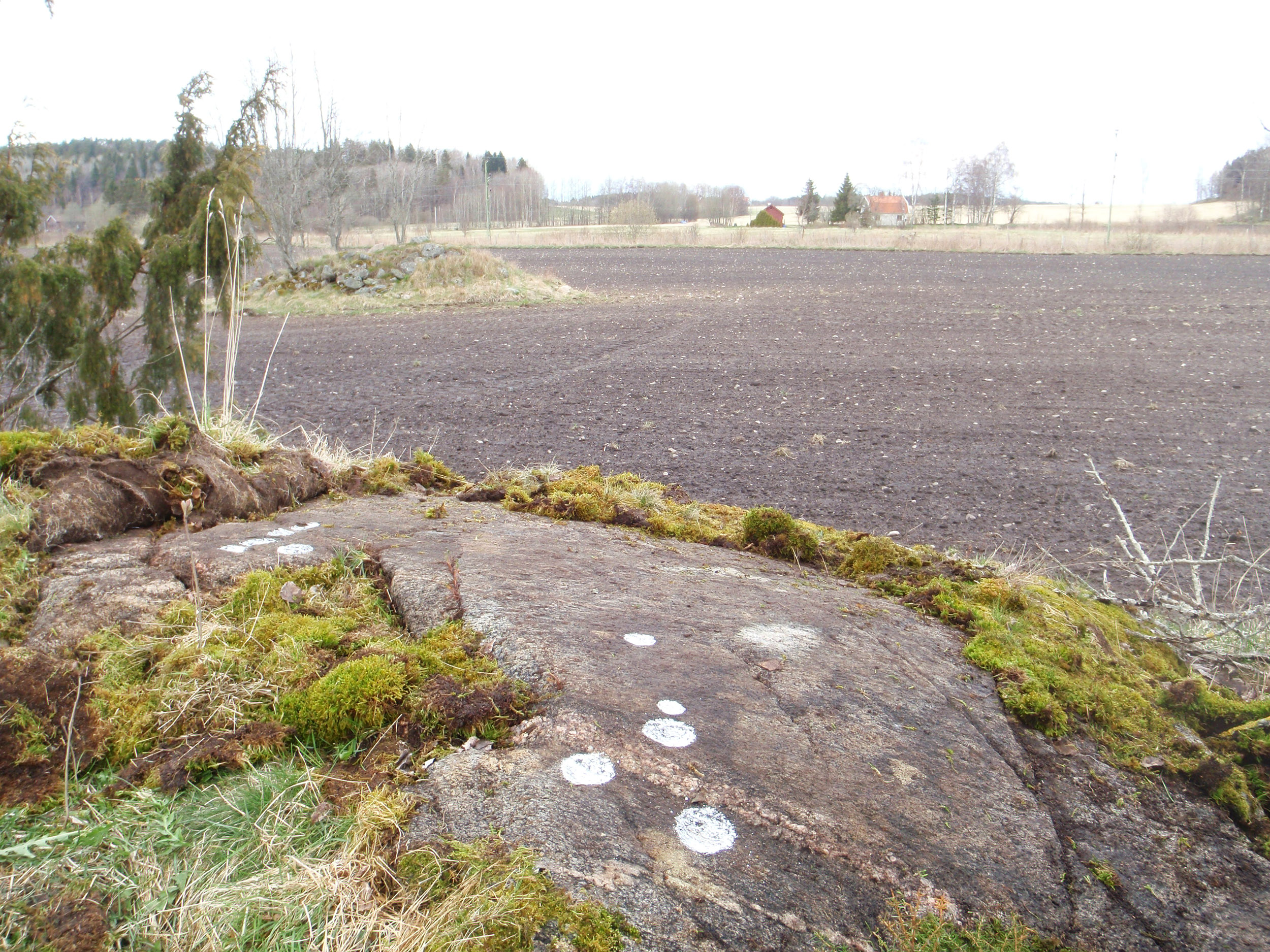 Solberg Håby