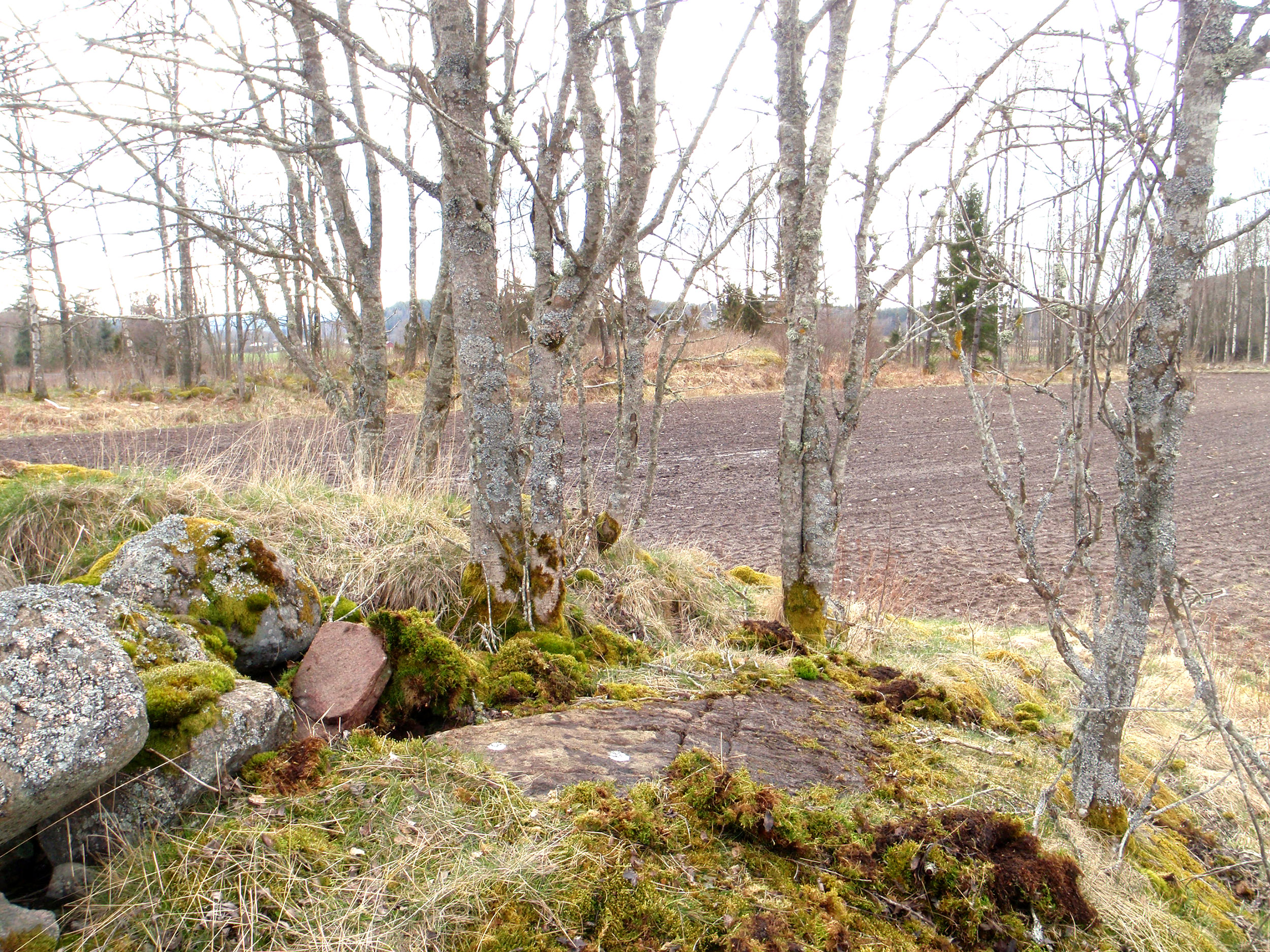 Solberg Håby