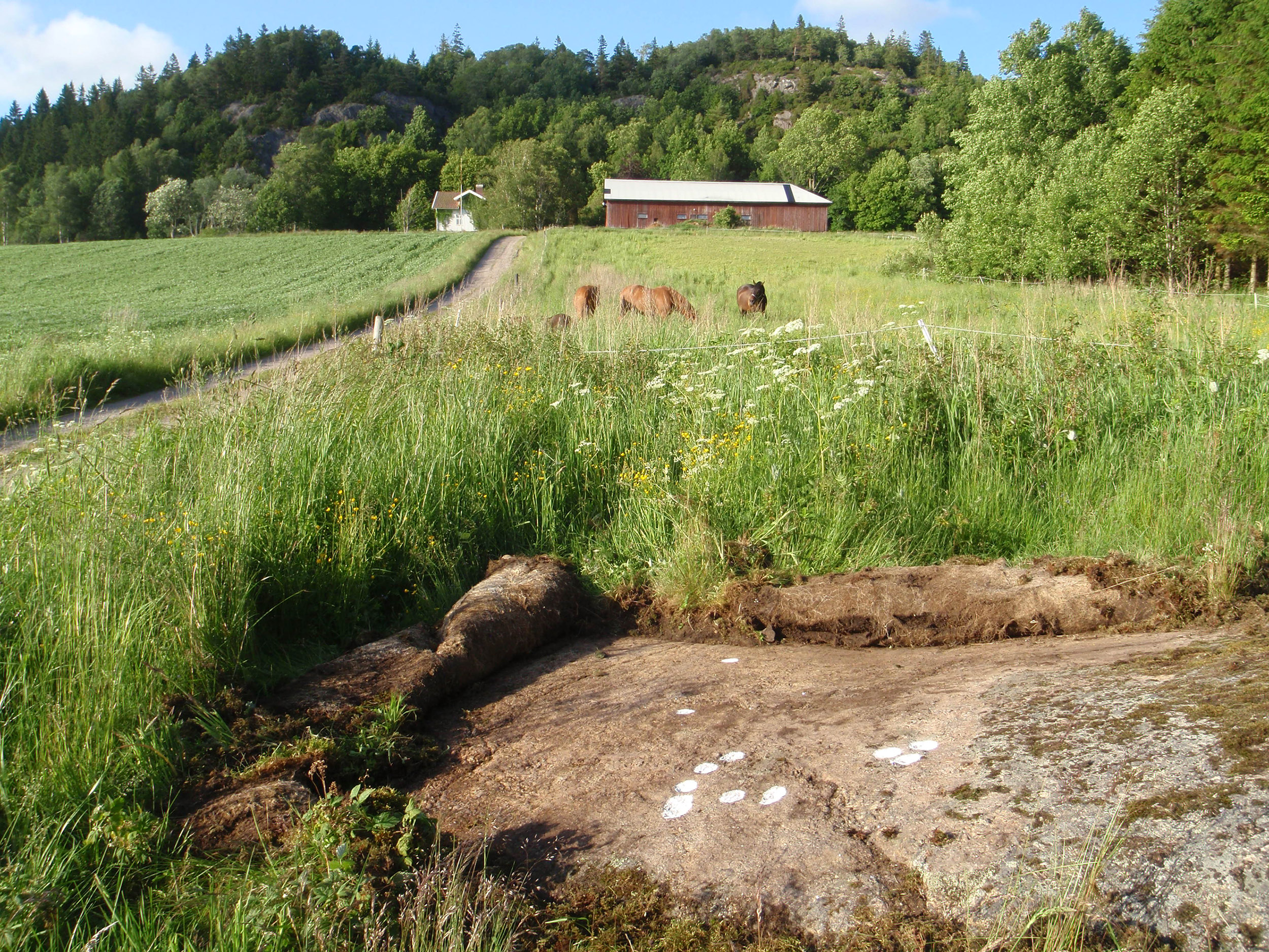 Klåvene Svarteborg