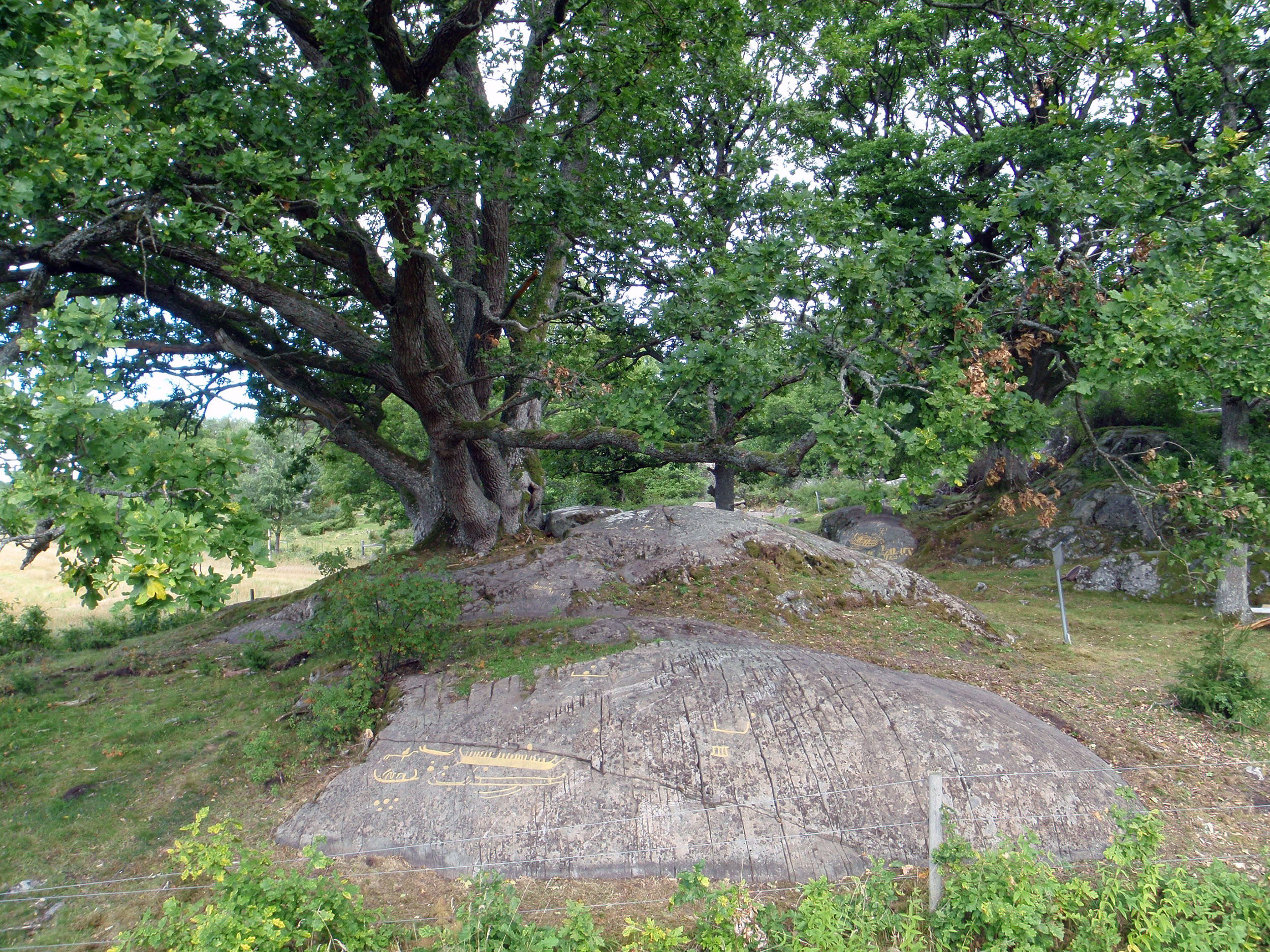 Torp Skredsvik