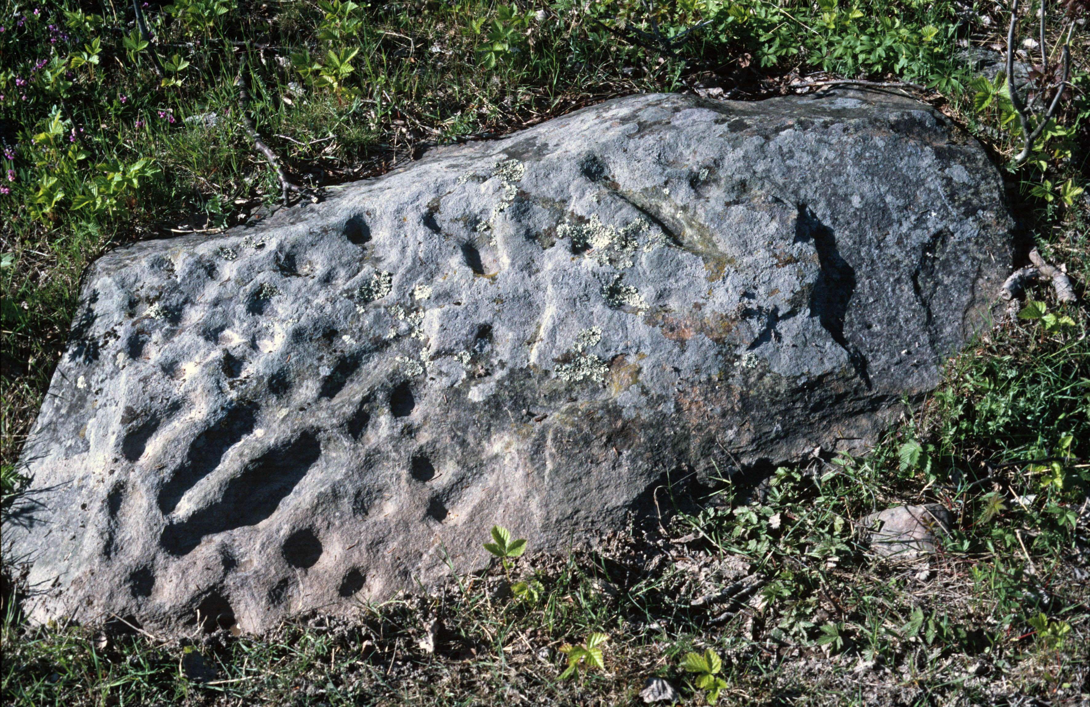 Västerråda Holm