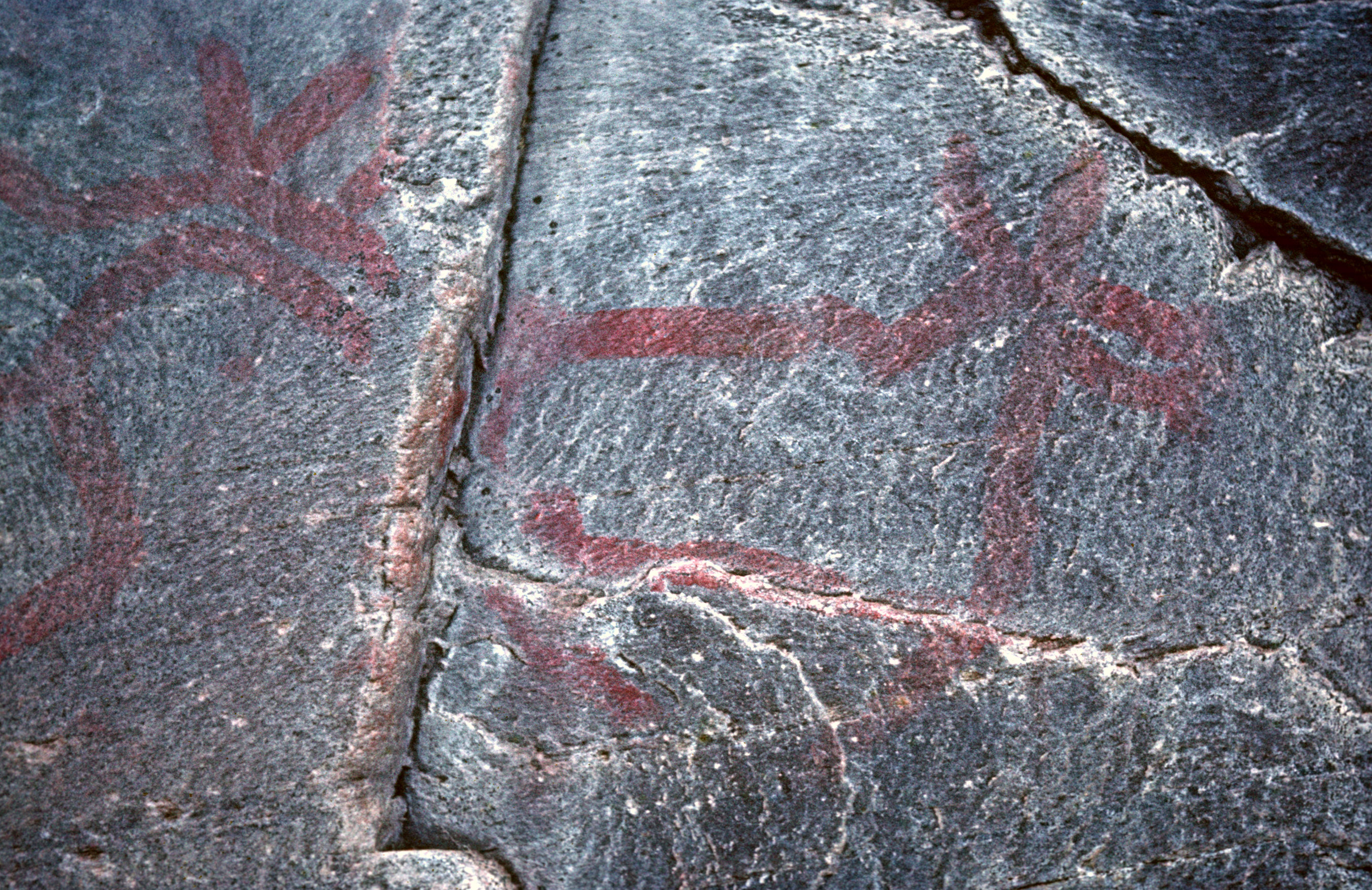 Flatruet Ruvallen Tännäs