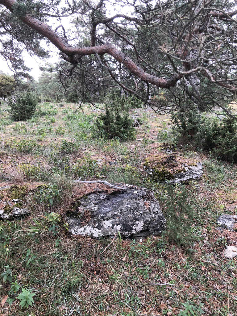 Lansa Fårö