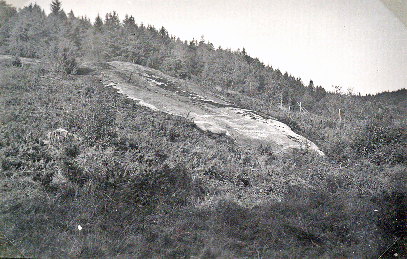 Sundby Åseliden Hogdal