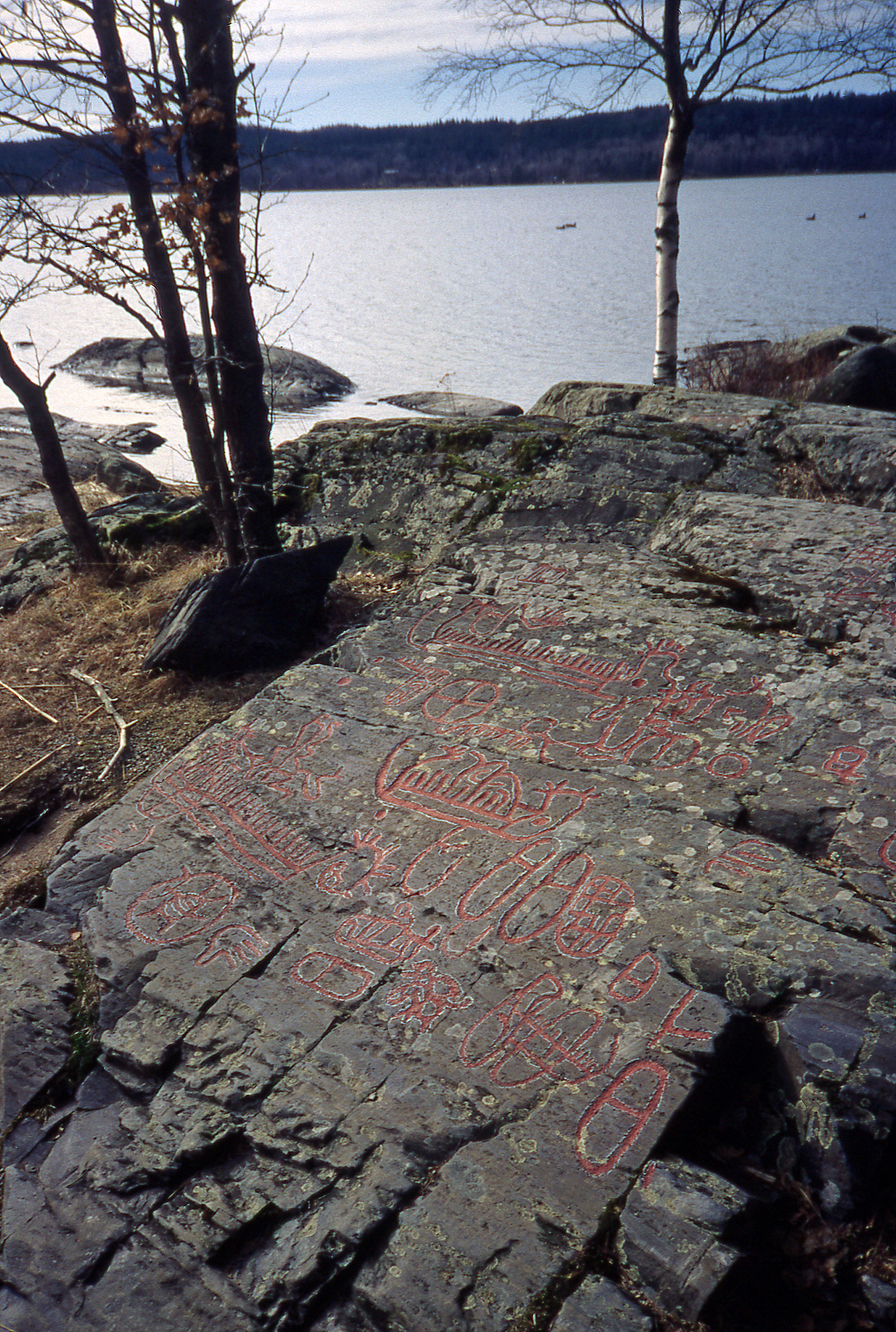 Högsbyn Tisselskog