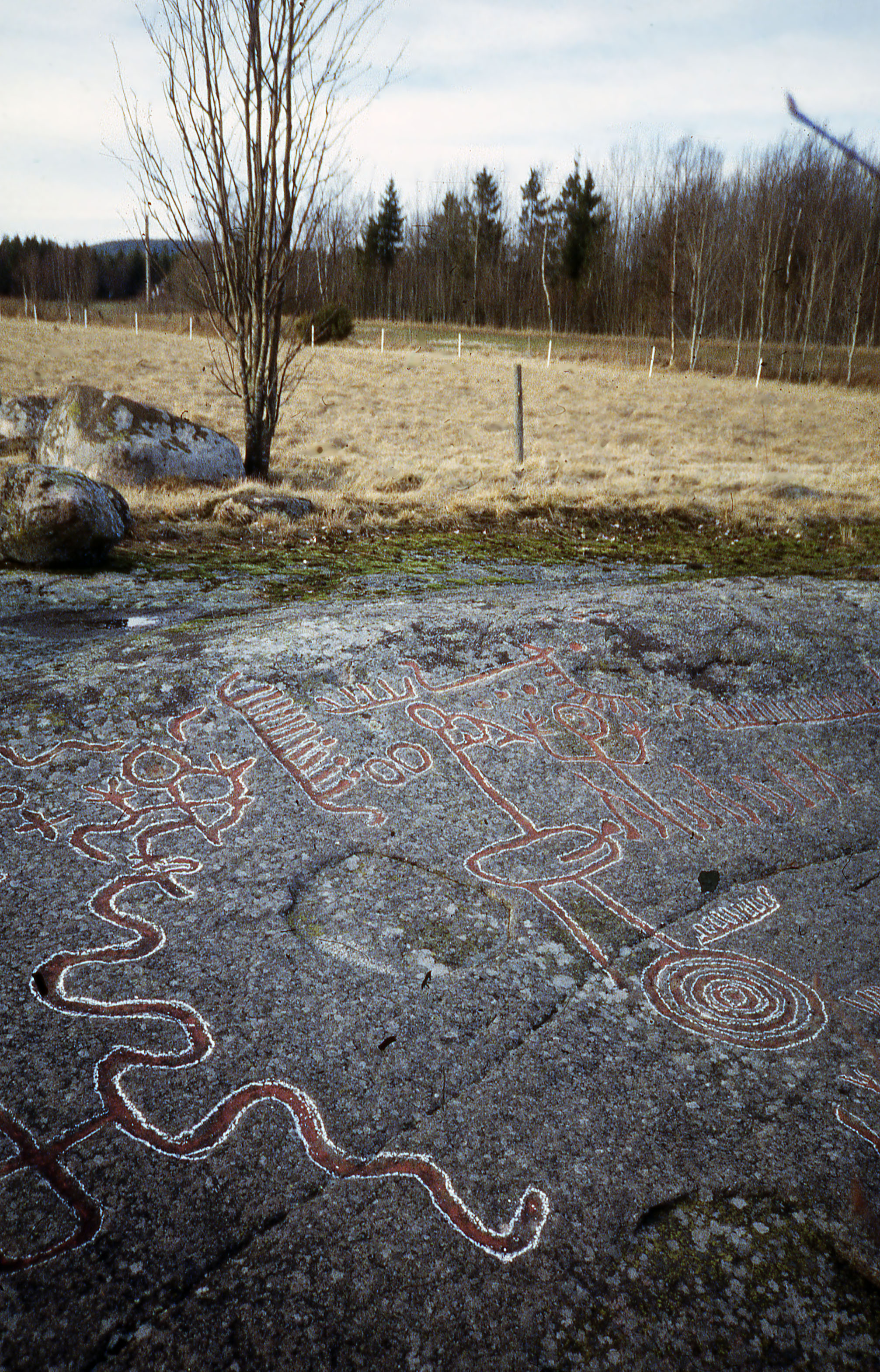 Evenstorp Sundals-Ryr