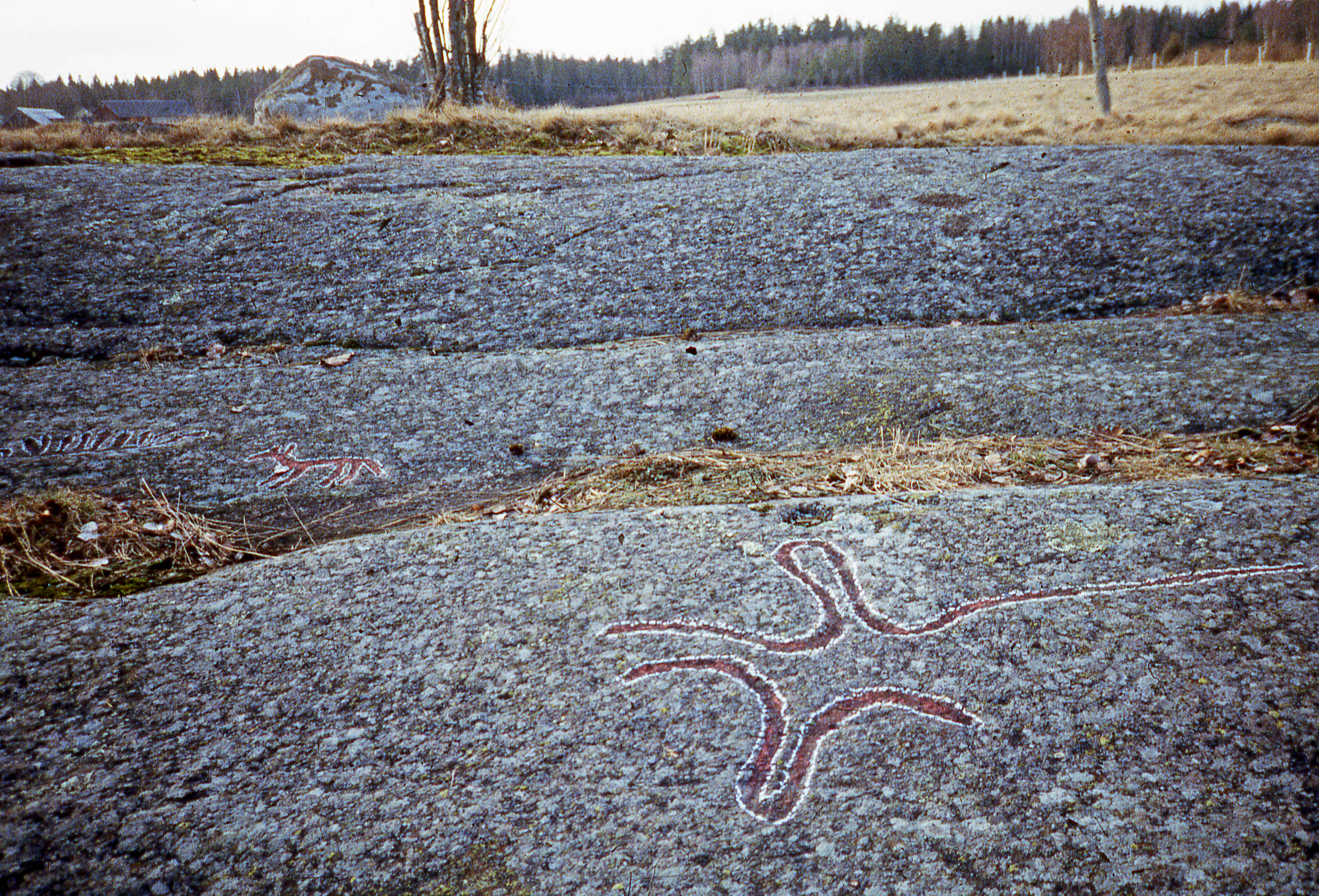 Evenstorp Sundals-Ryr