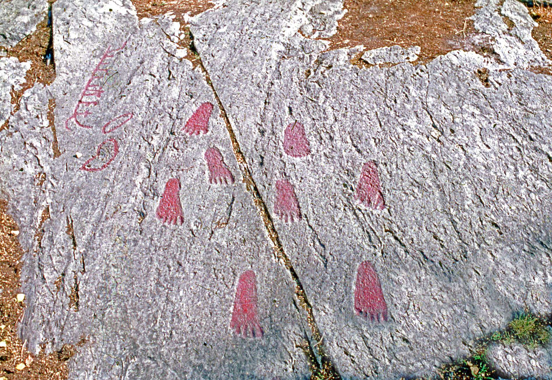 Högsbyn Tisselskog