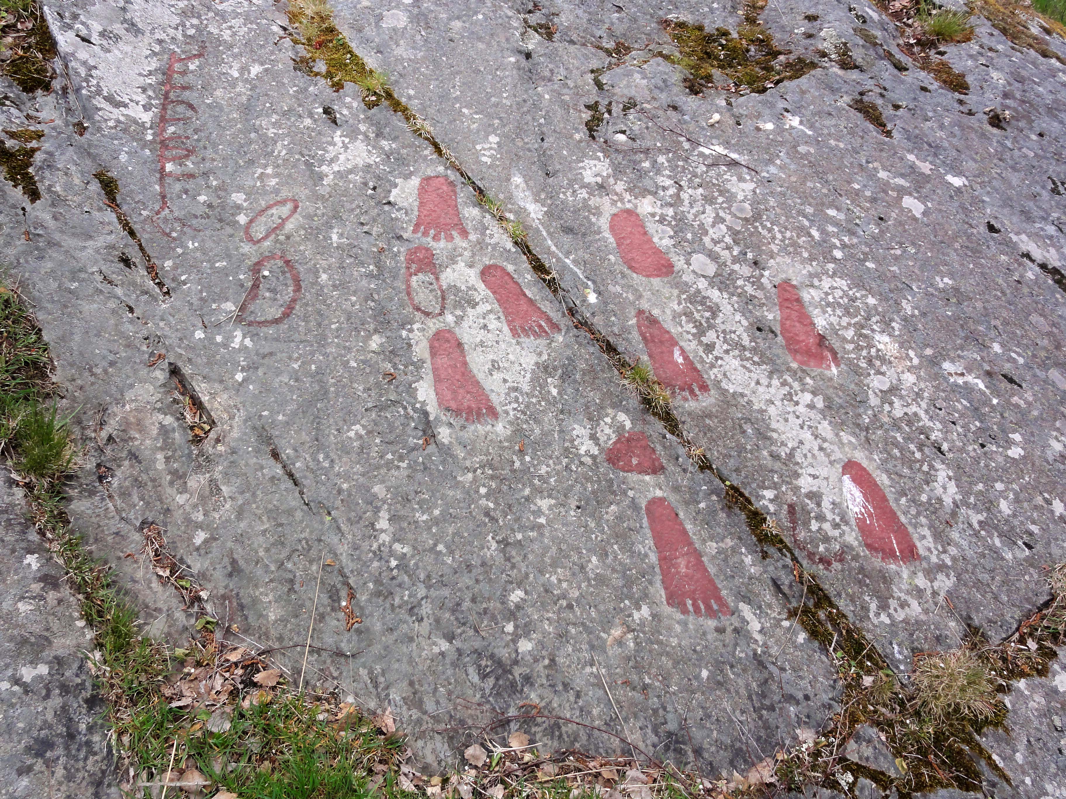 Högsbyn Tisselskog