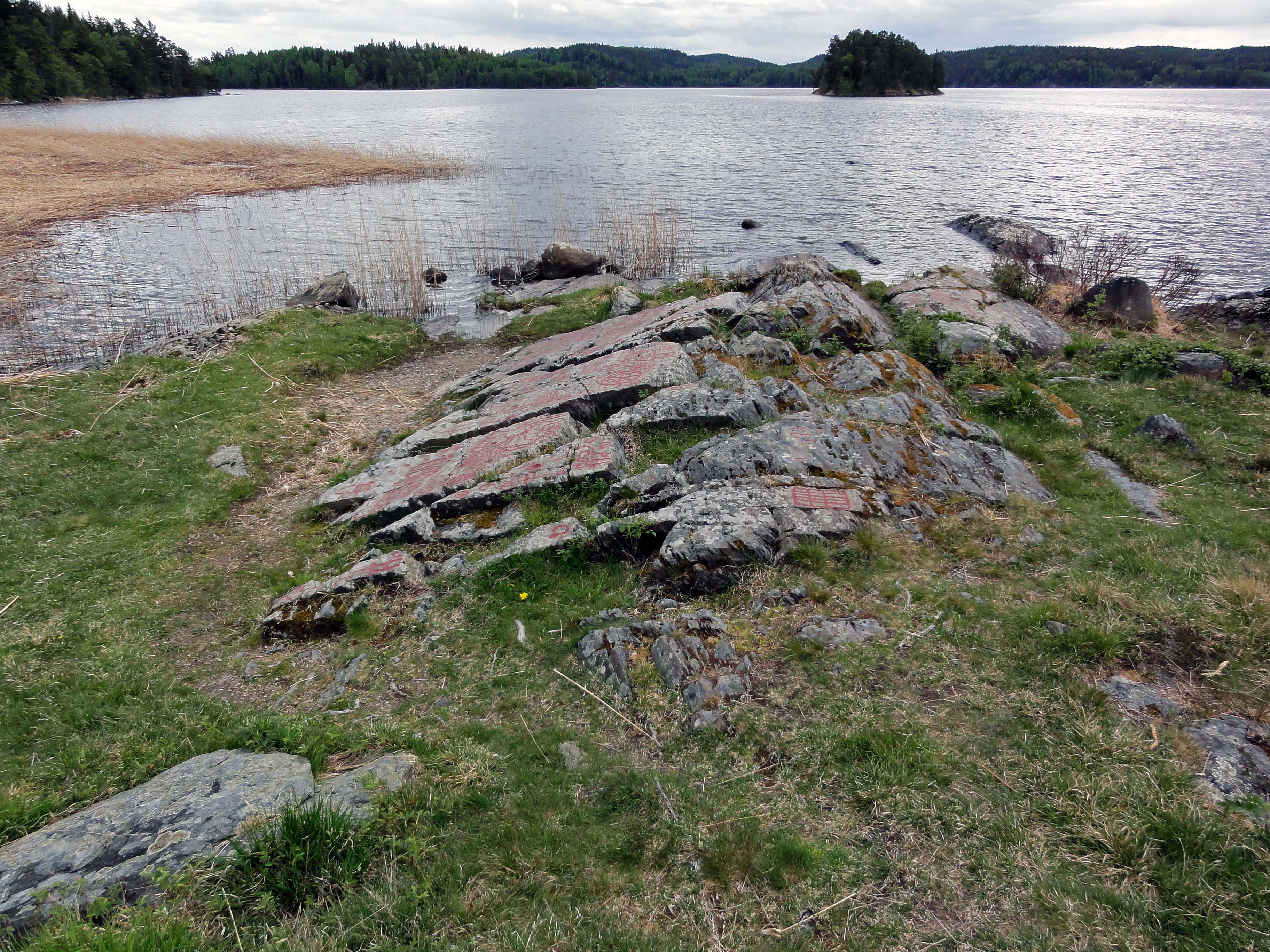 Högsbyn Tisselskog