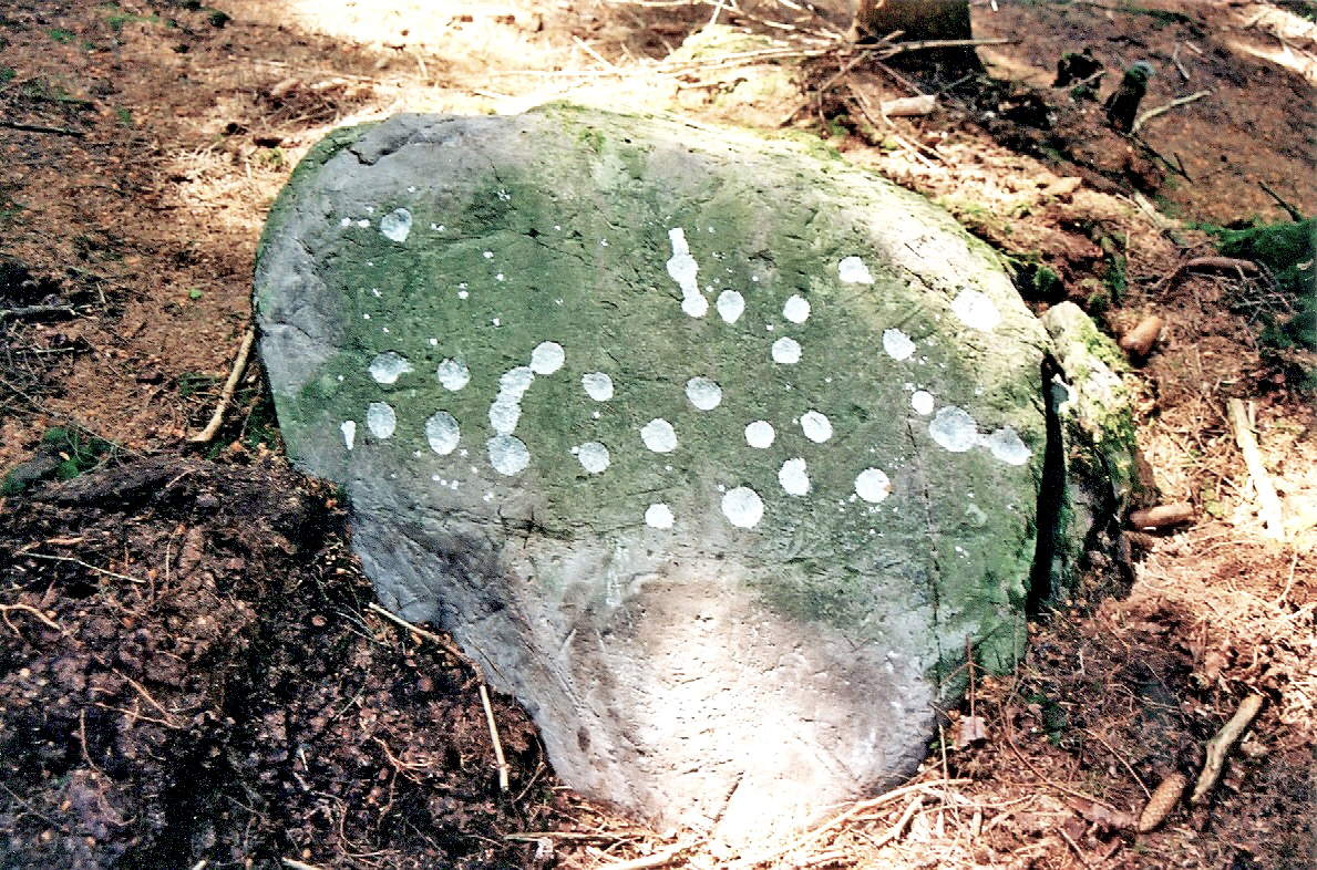 Vattneröd Bärfendal