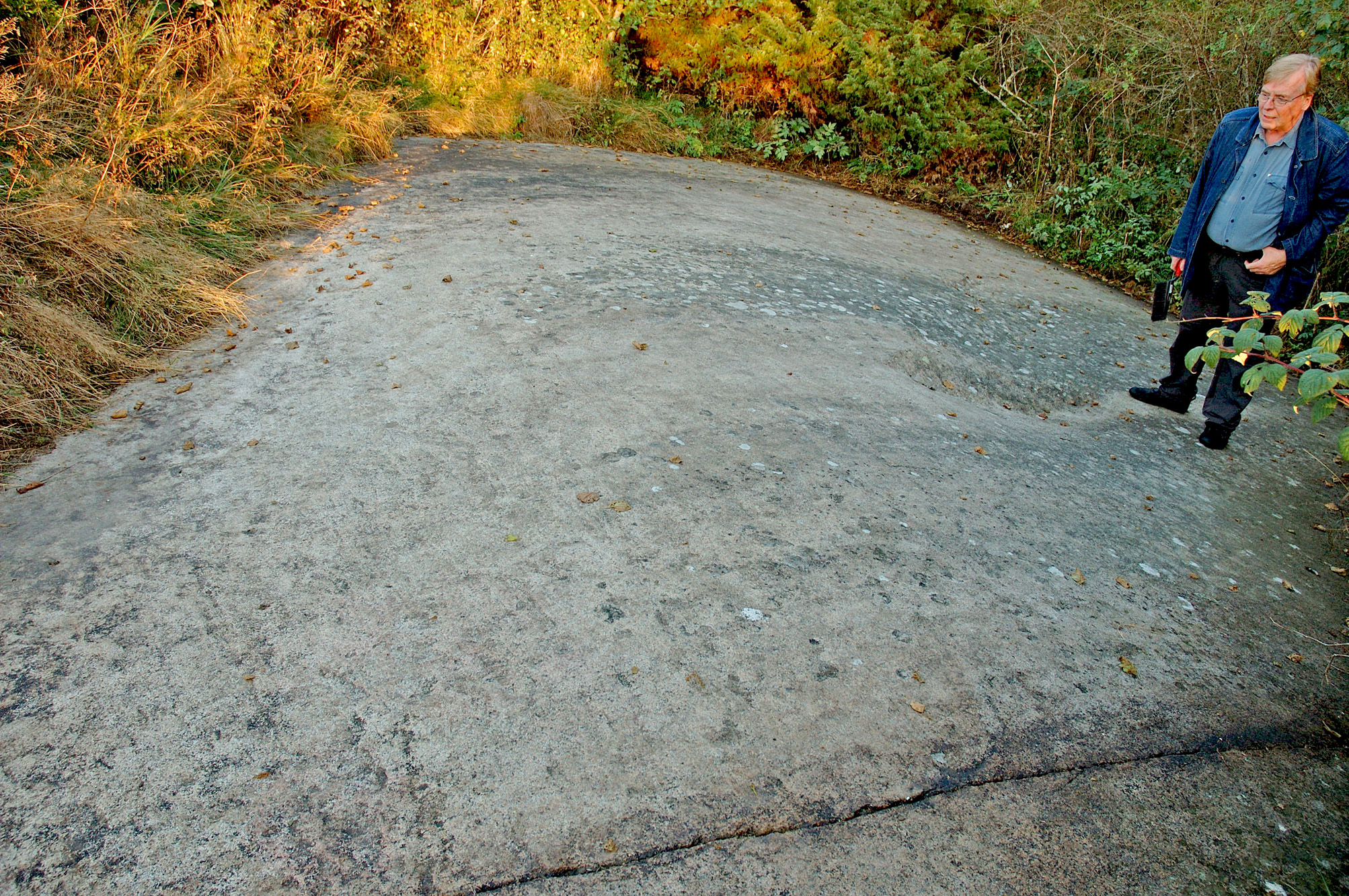 Gerum Runohällen Tanum