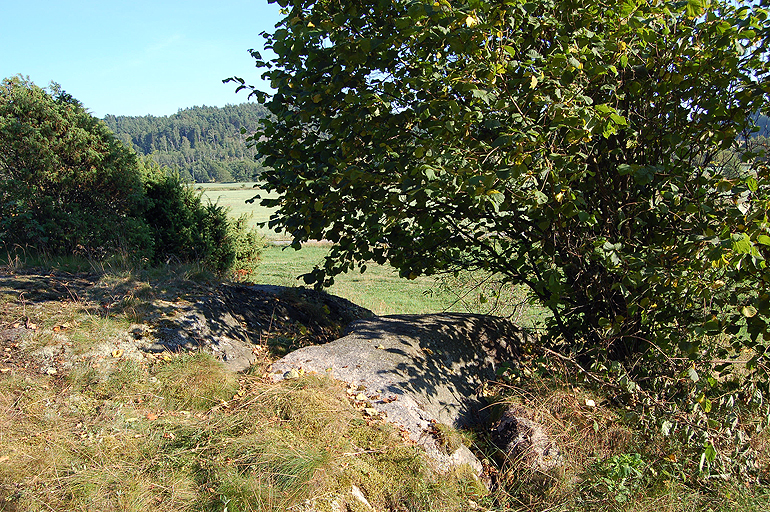 Trättelanda Tanum