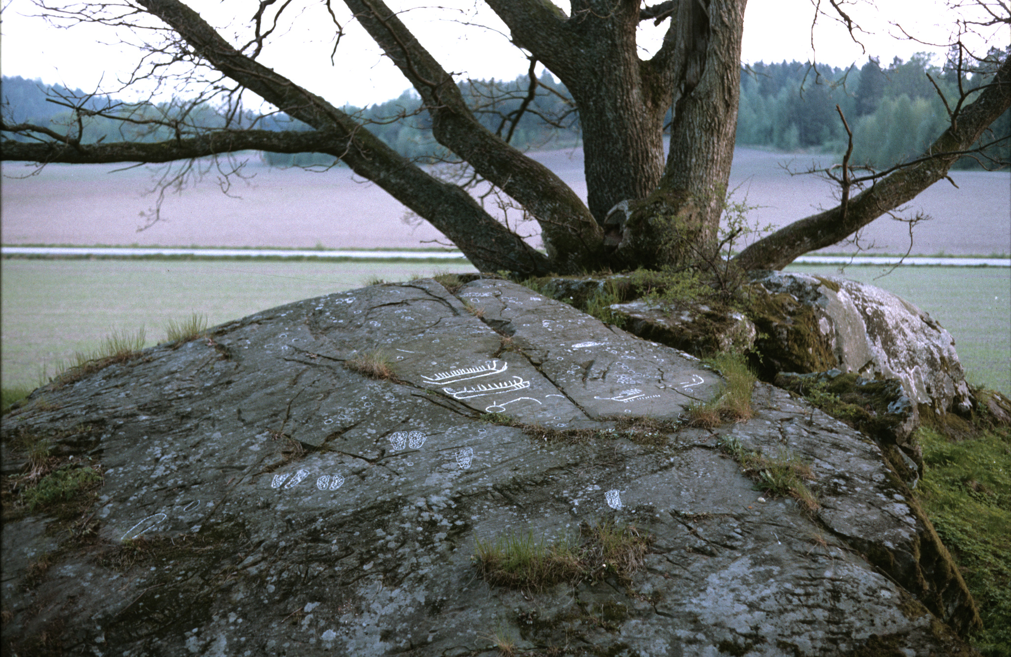 Torp Skredsvik