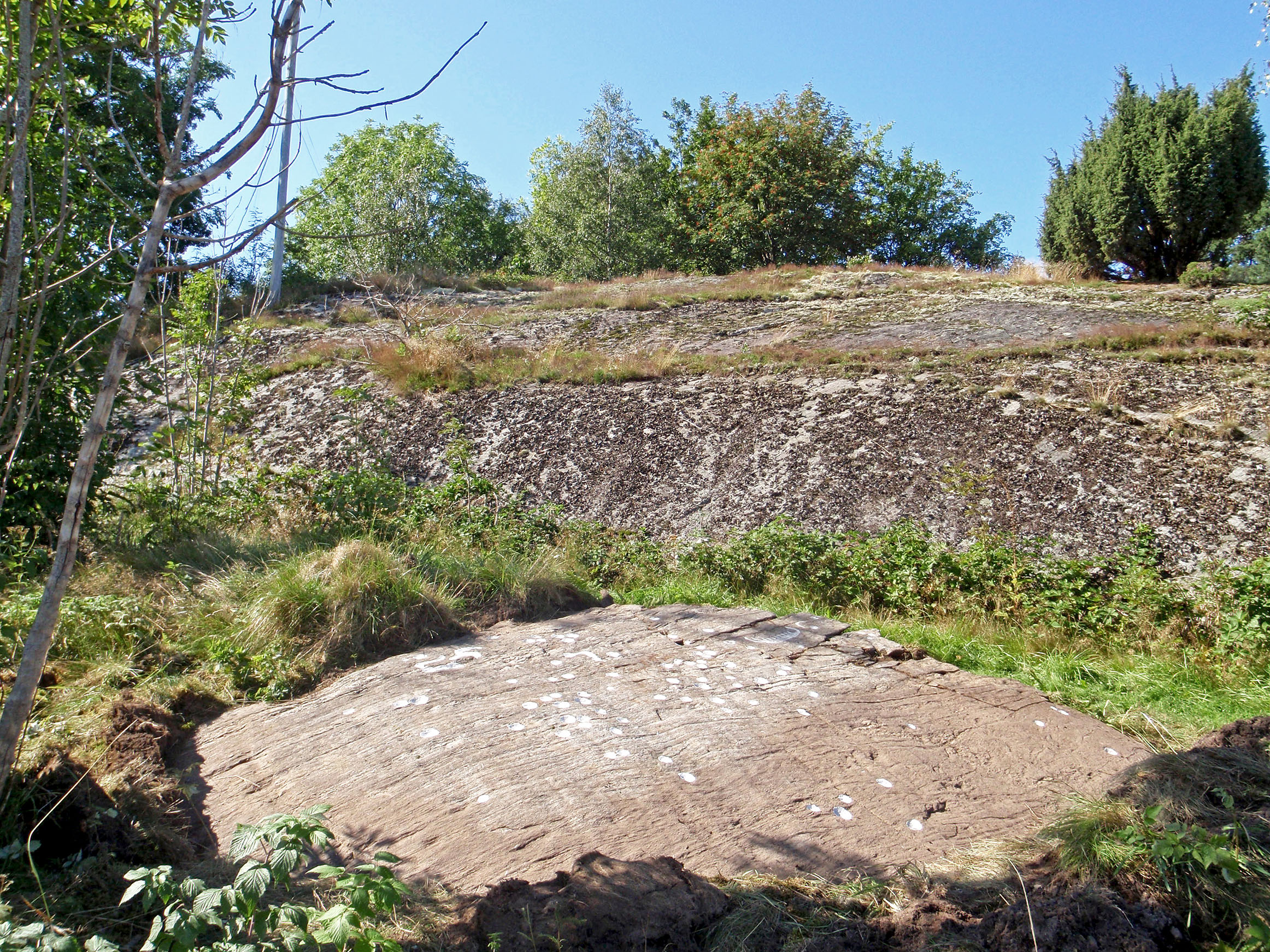 Knarrevik Bokenäs