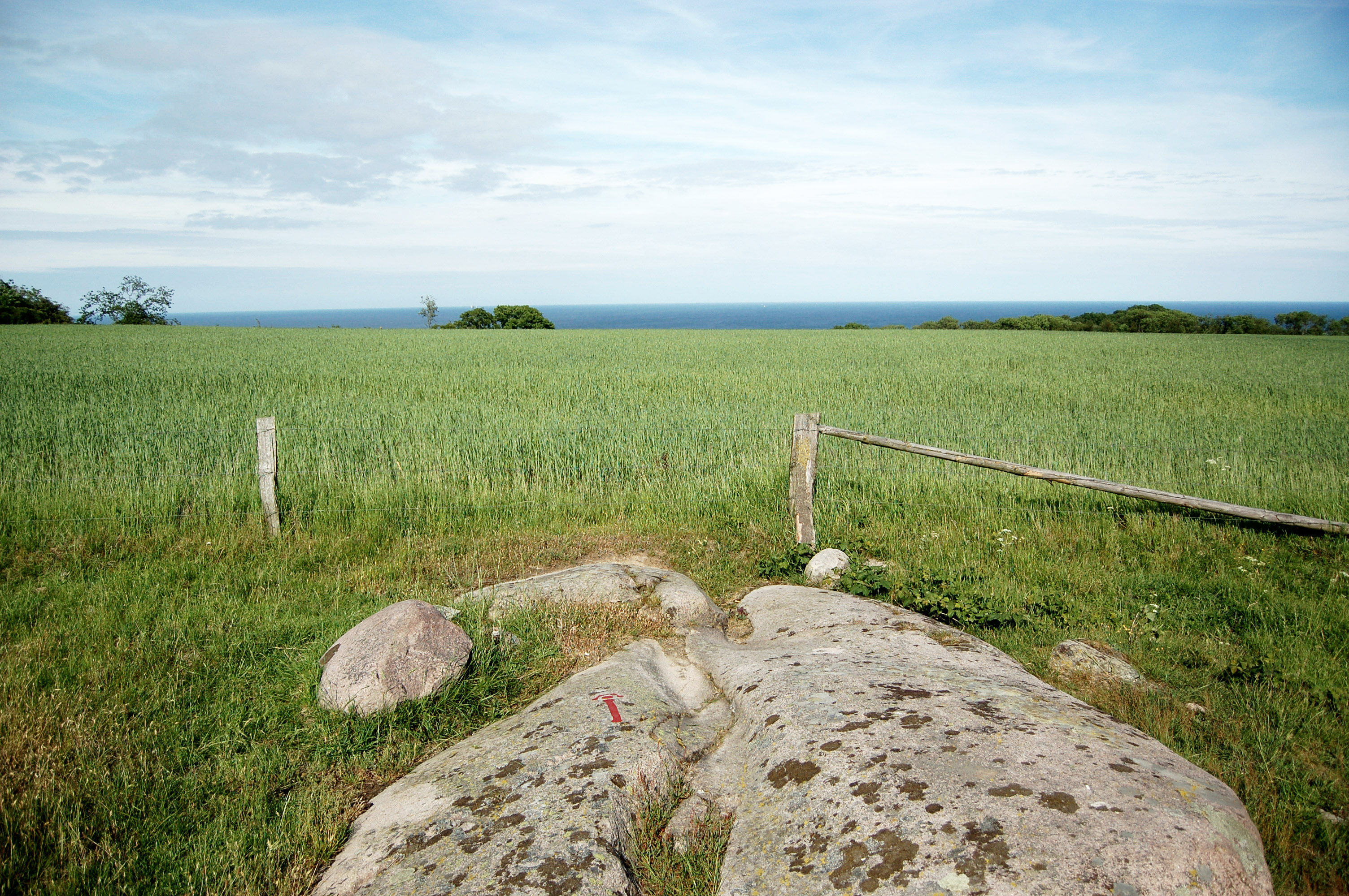 Hammersholm2 Bornholm