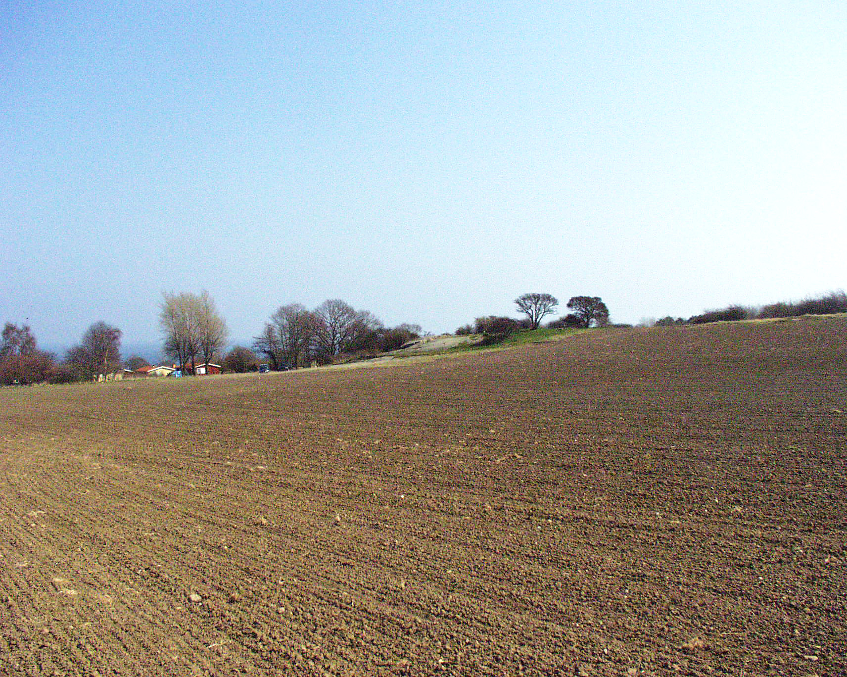 Madsebakke1 Vest Bornholm