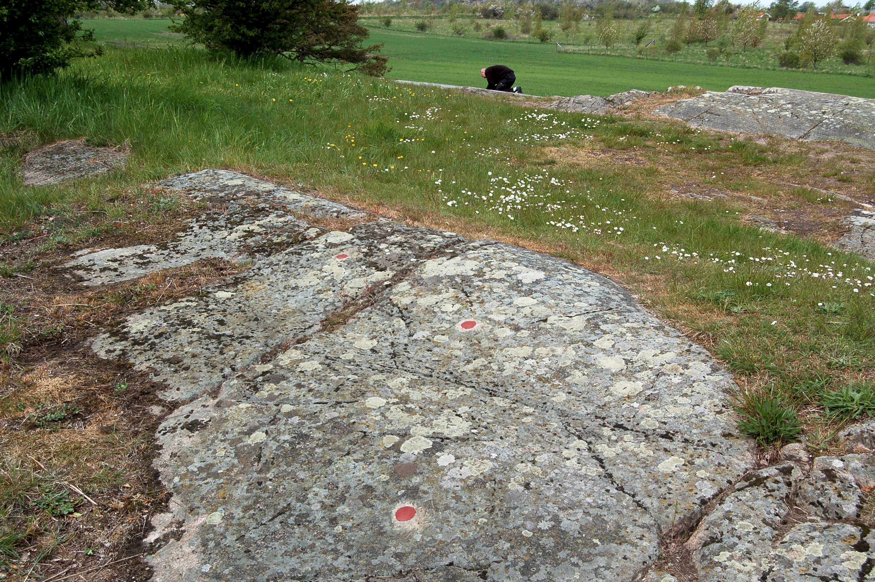 Madsebakke1 Öst Bornholm