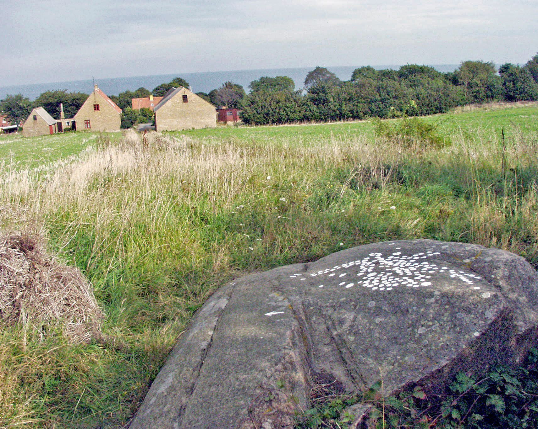 Madsebakke3 Bornholm