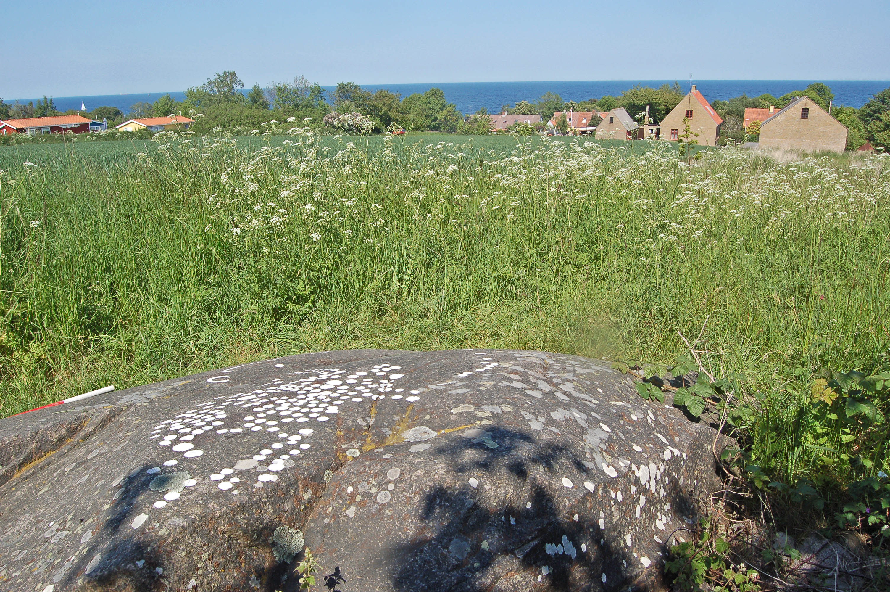 Madsebakke3 Bornholm