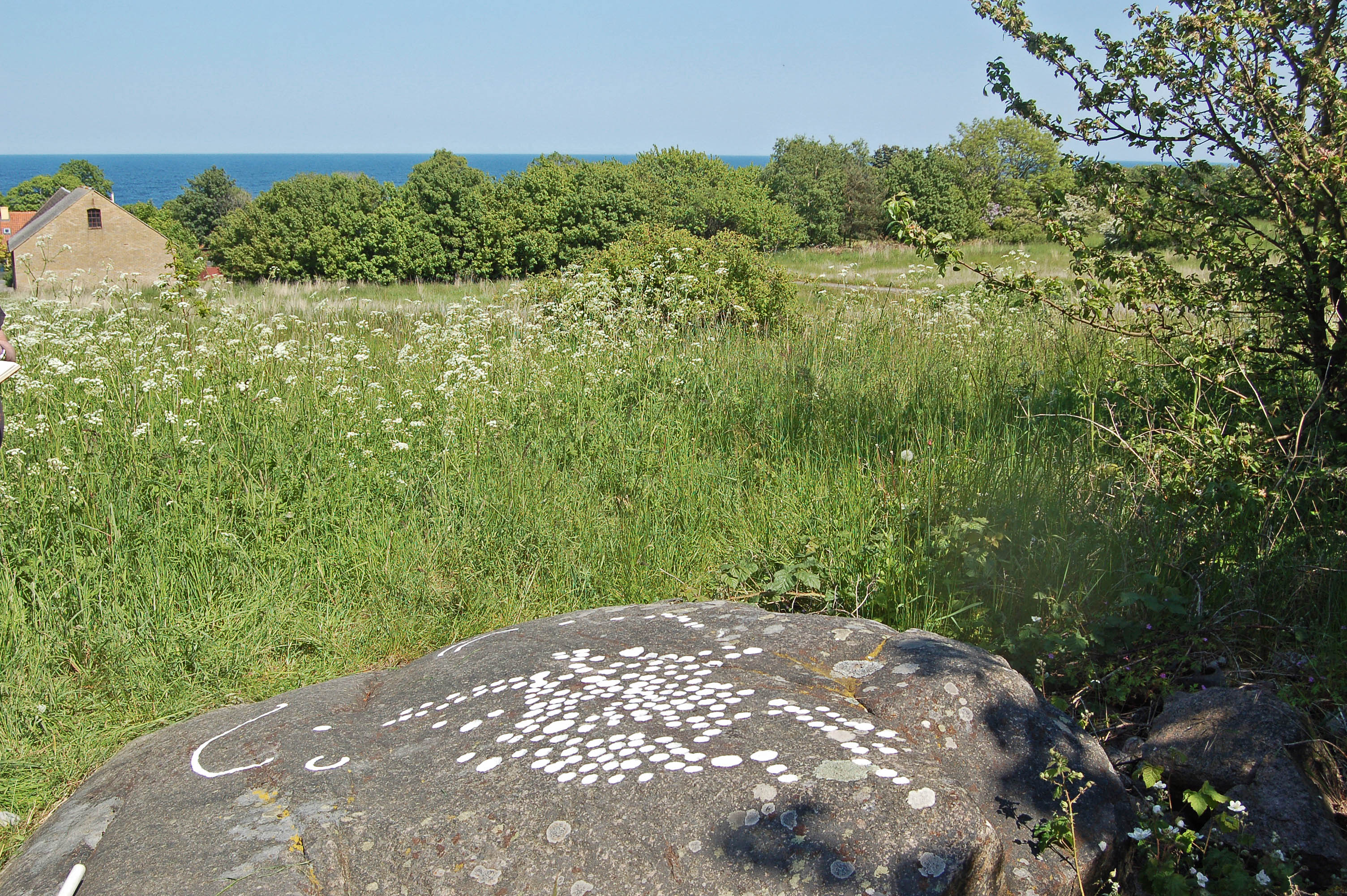 Madsebakke3 Bornholm