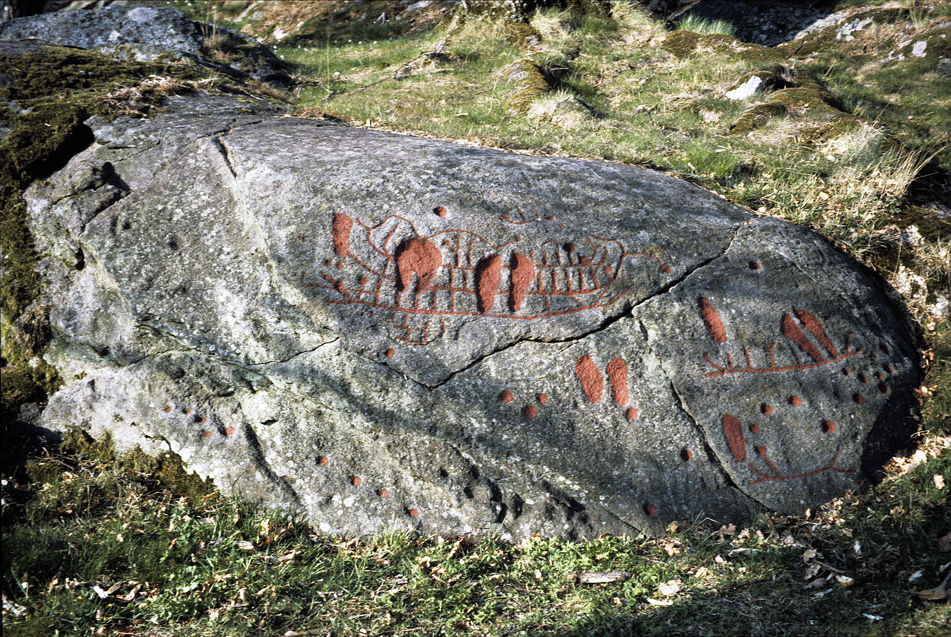 Torp Skredsvik