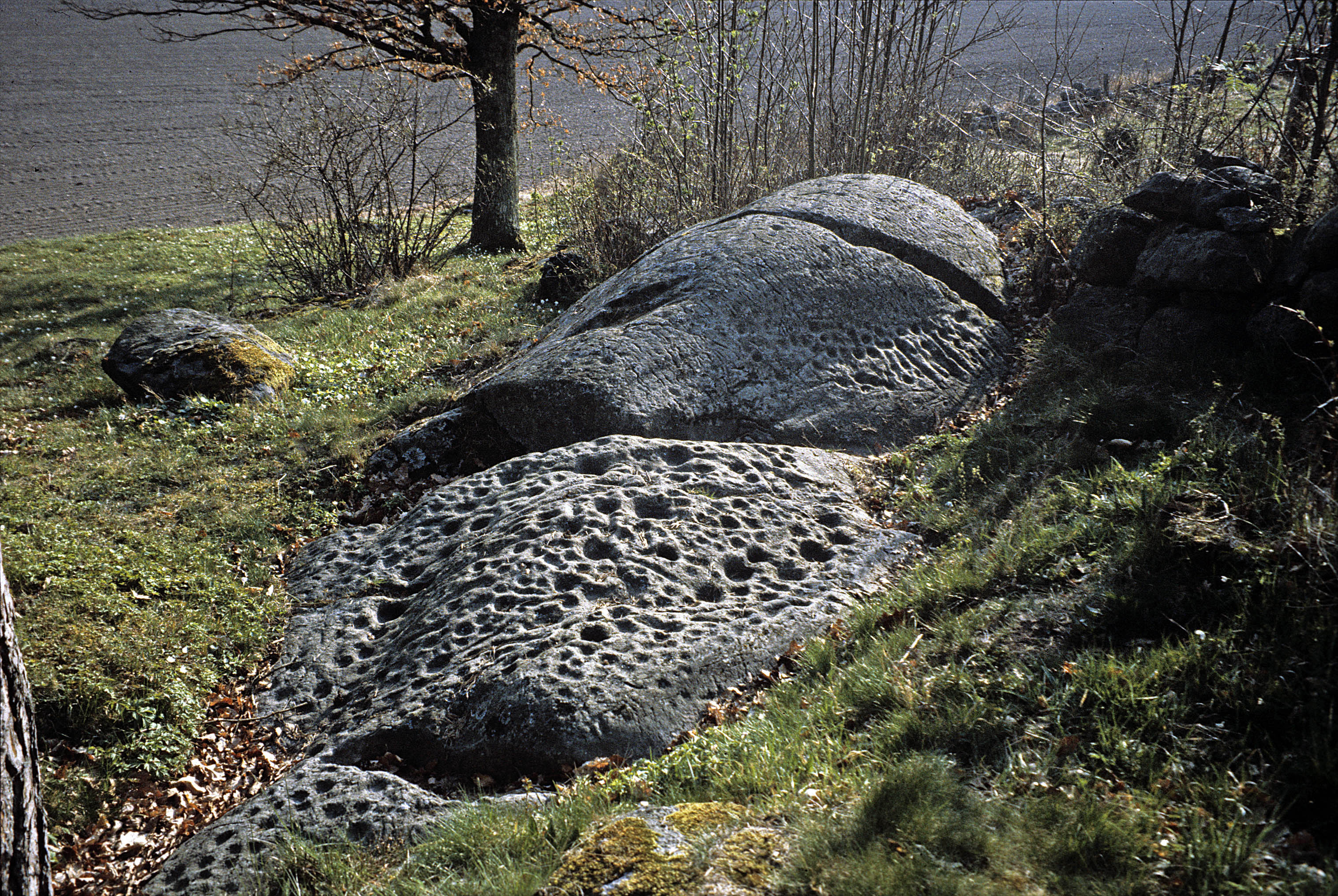 Torp Skredsvik