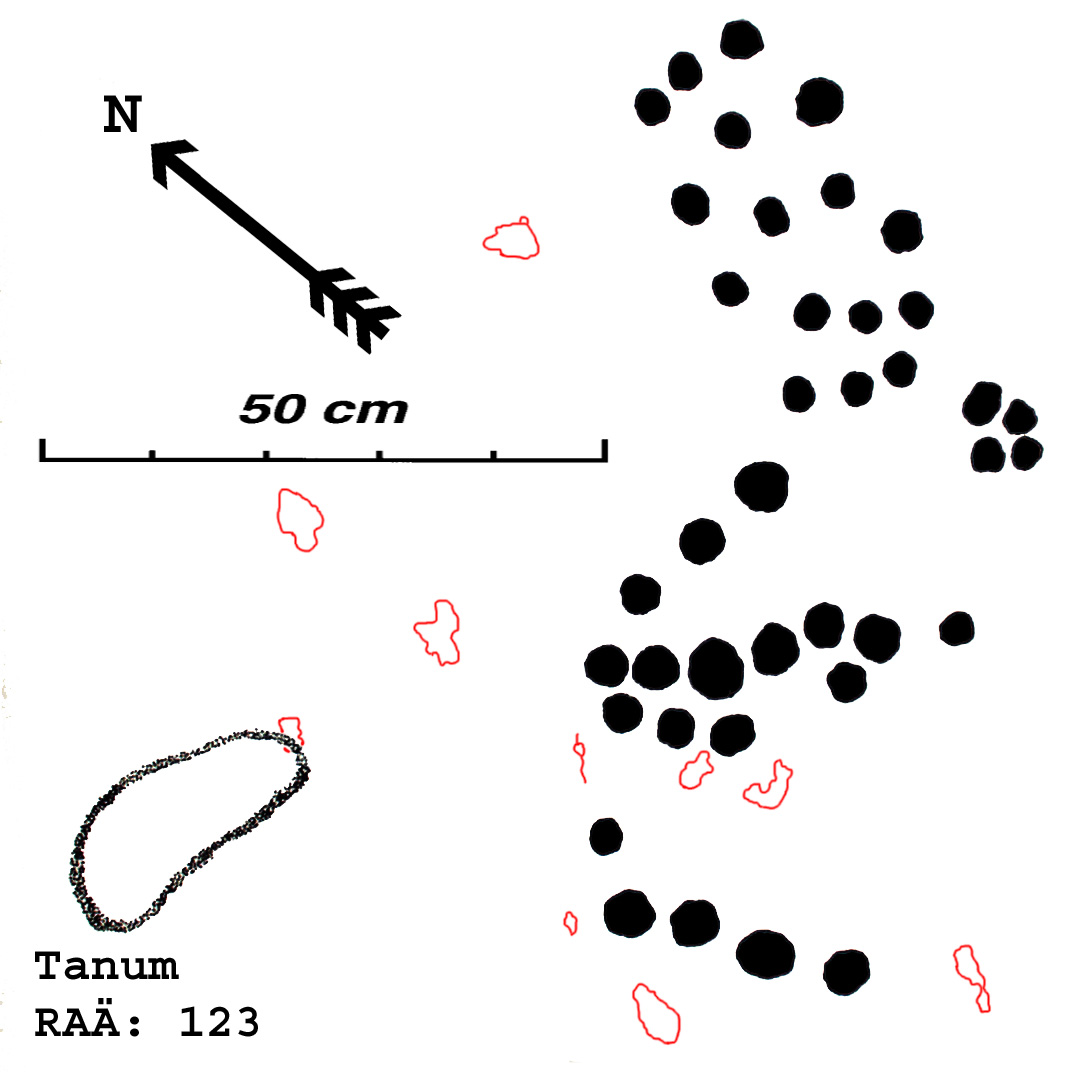 Tegneby Tanum