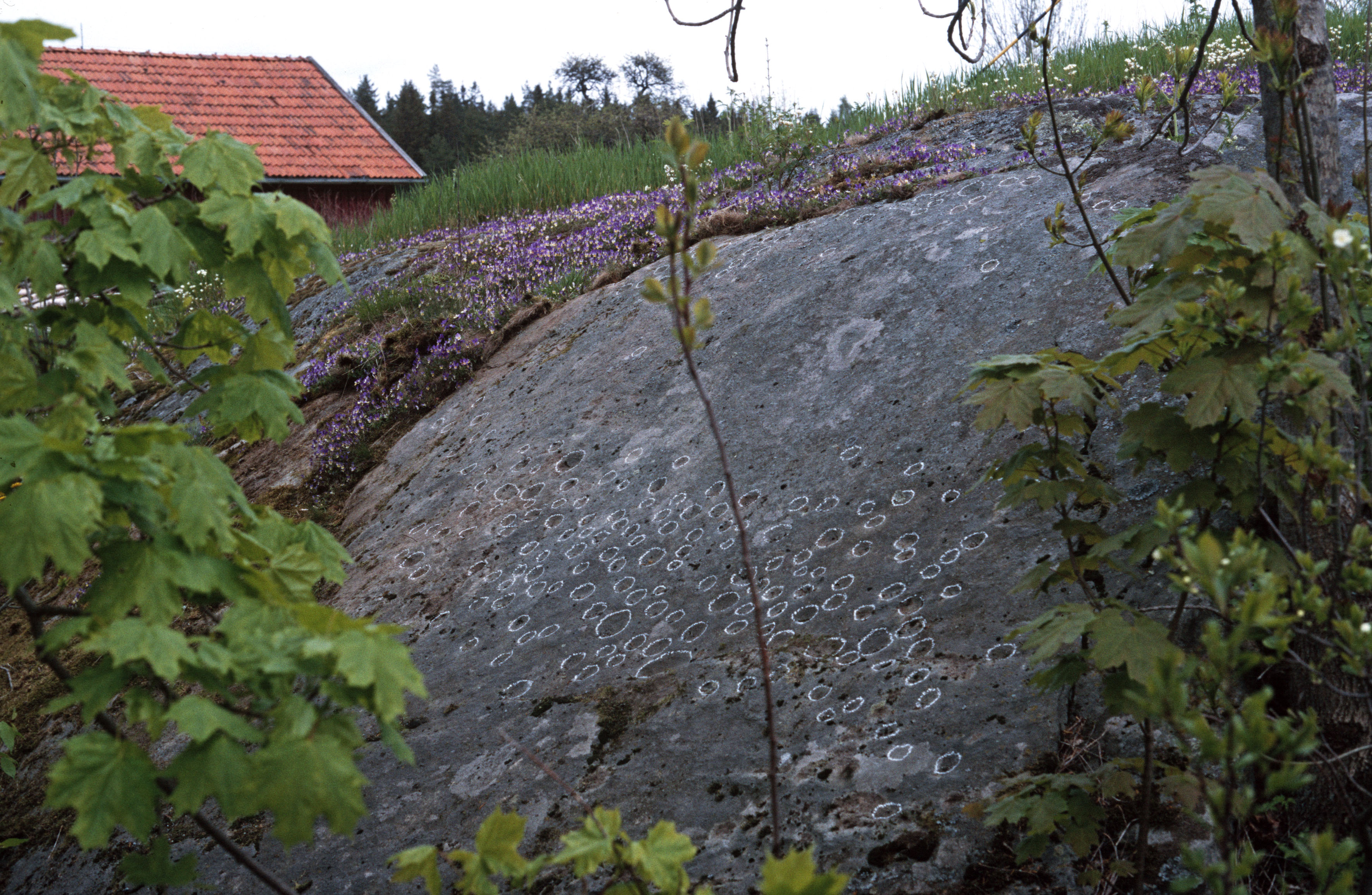 Glumserud Färgelanda