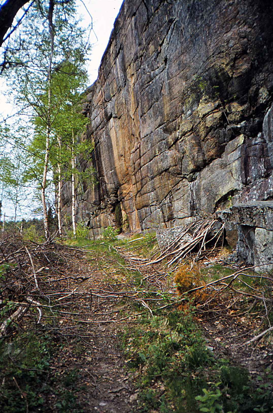 Trättelanda Tanum