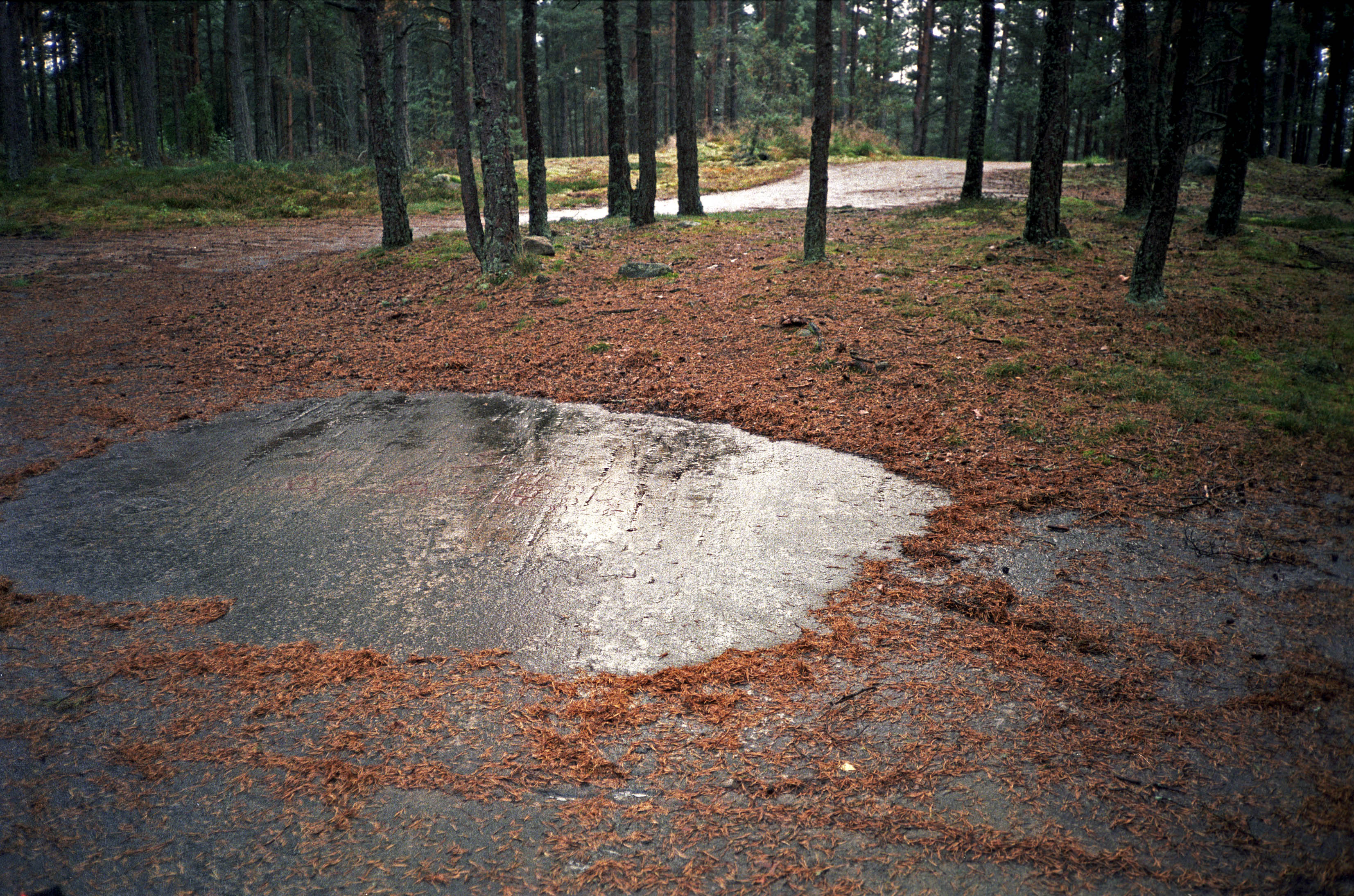 Tegneby Tanum Ryttarscenen