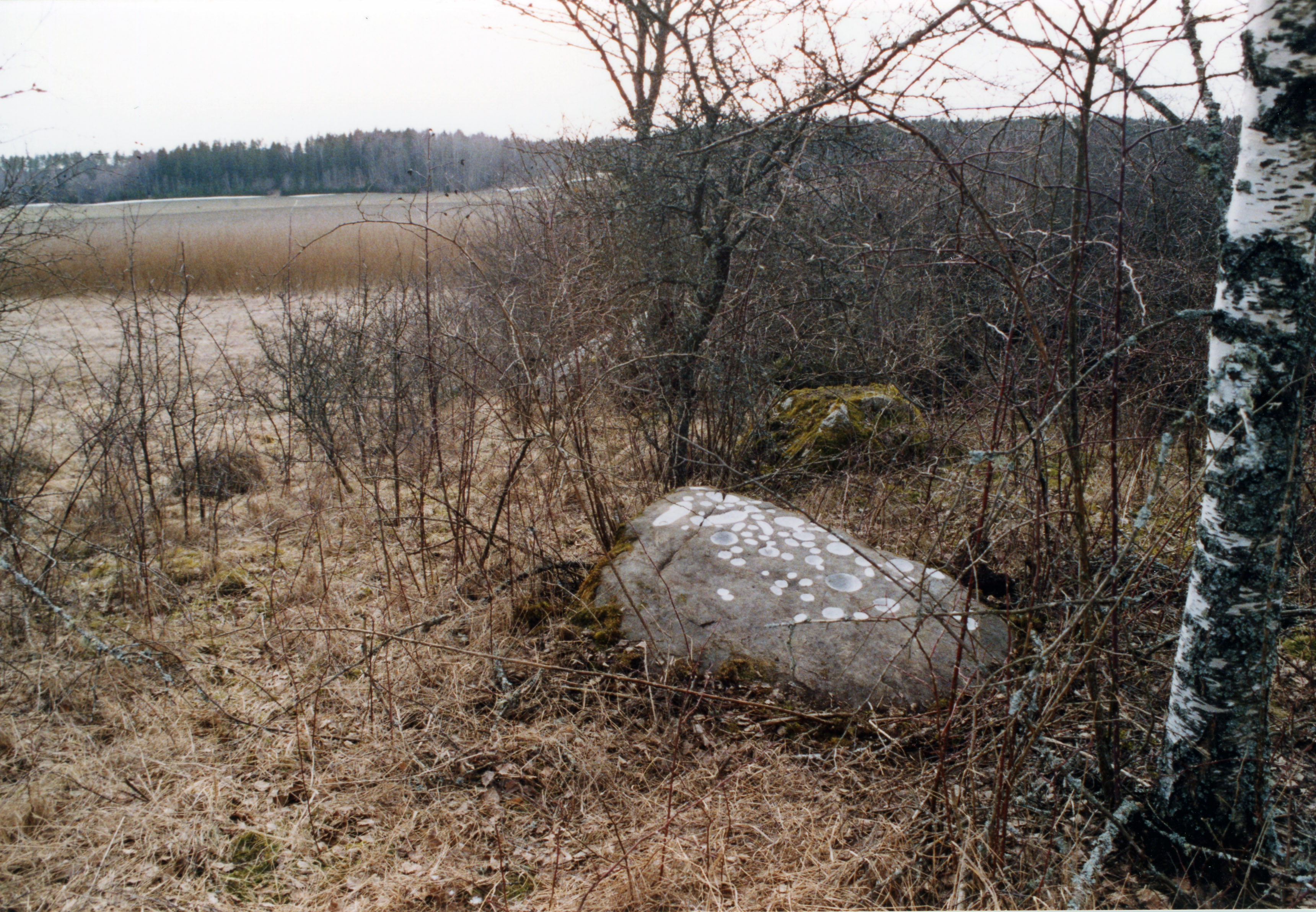 Gärsta Björksta