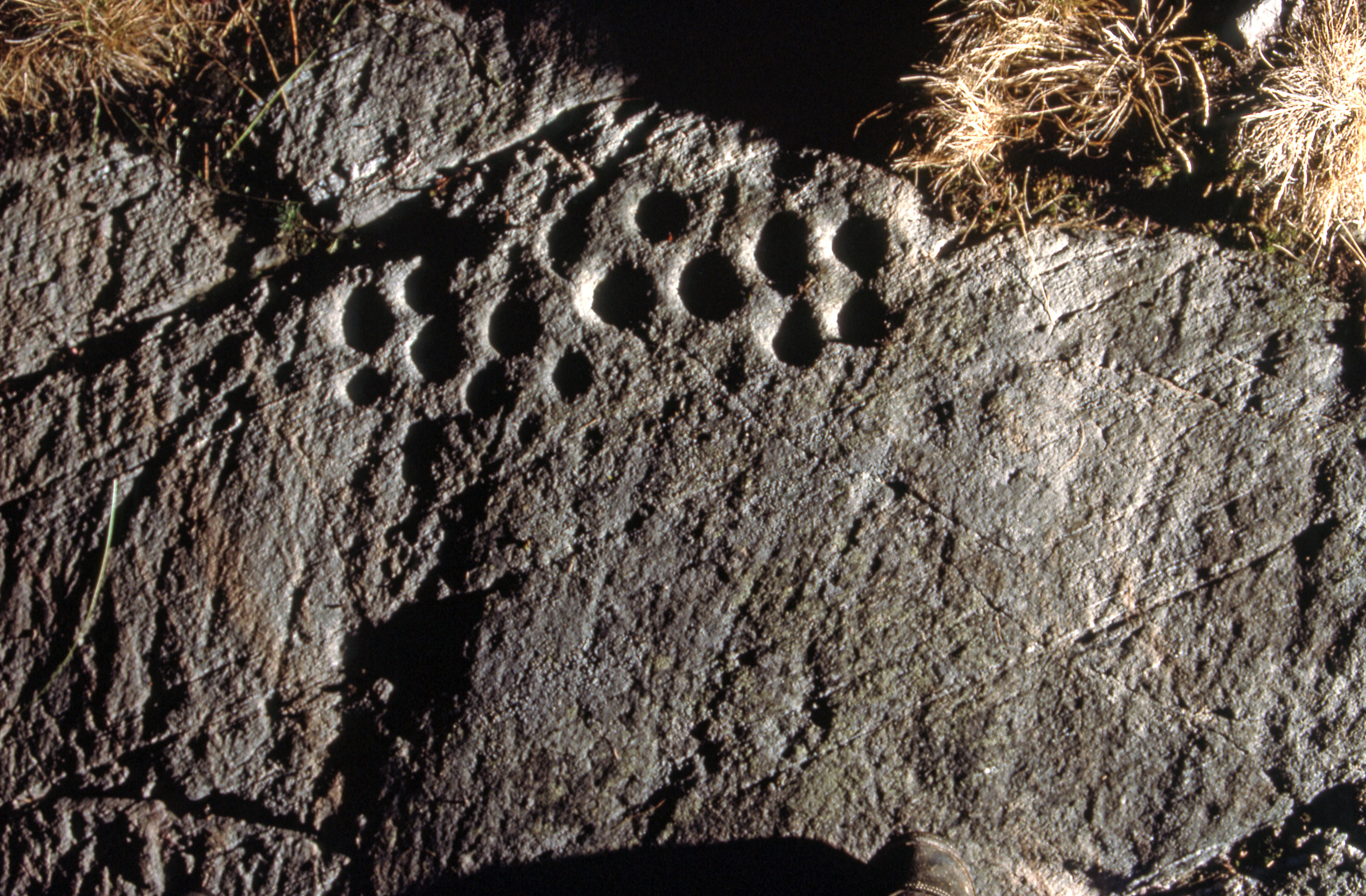 Hjälmsta Långhundra