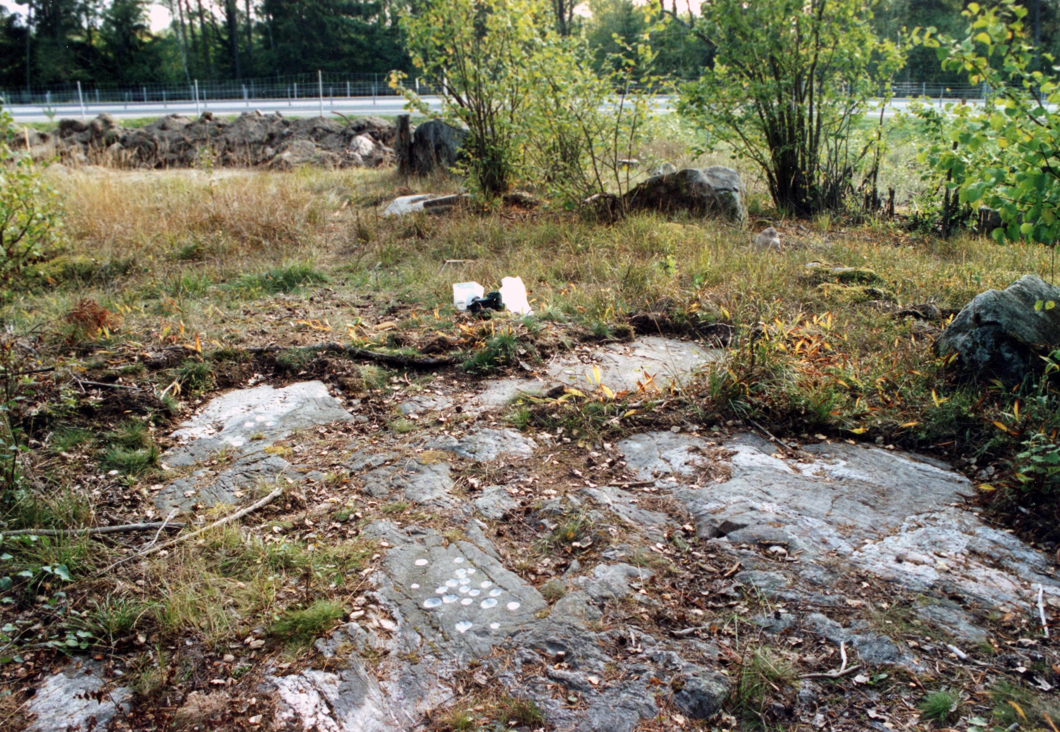 Karleby Kungsåra