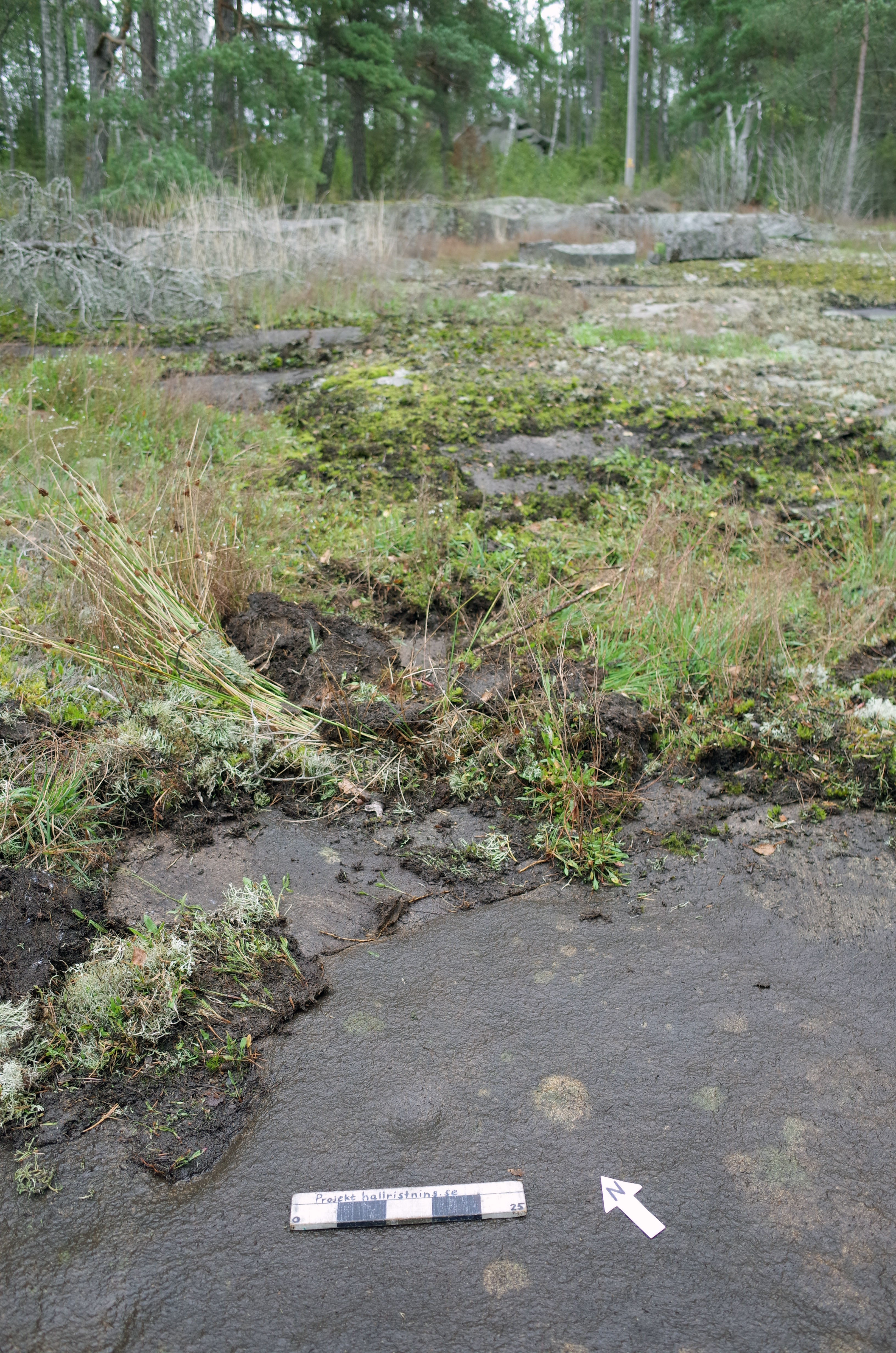 Näsinge Mällegården